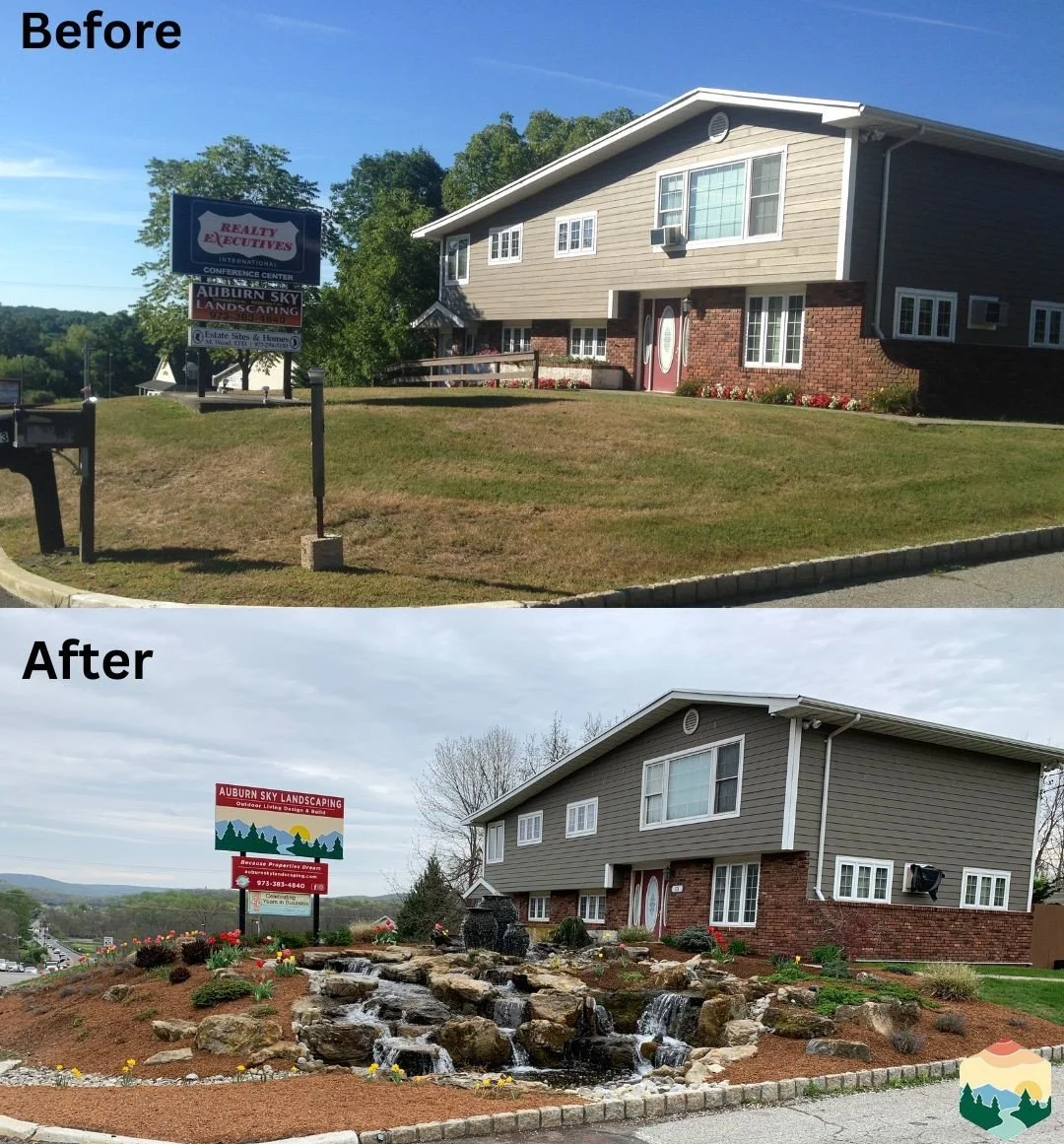 Before and Afters.jpg