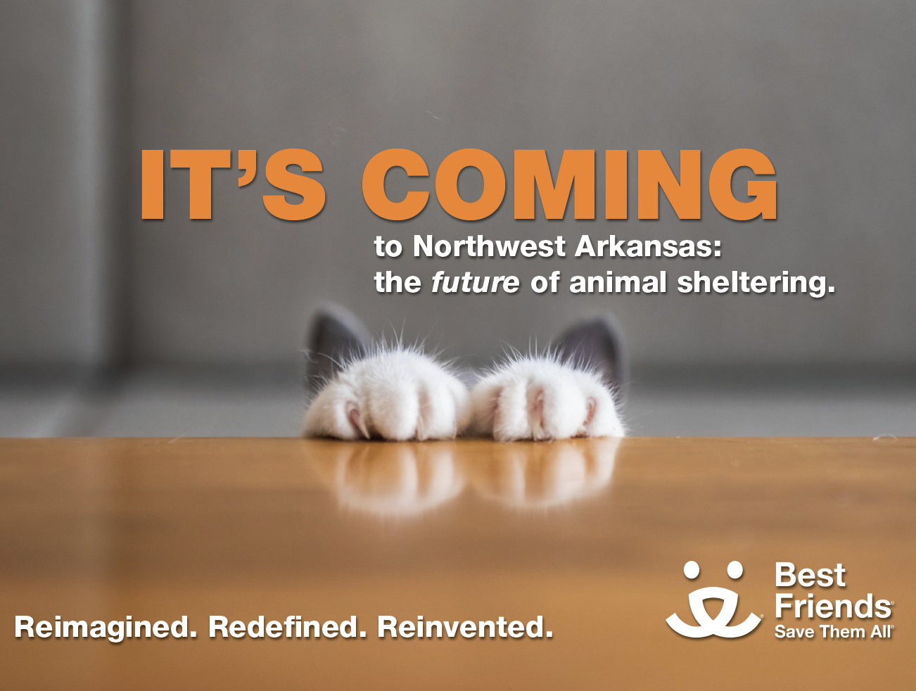 Screen Shot 2022-08-04 at 9.45.06 AM.png