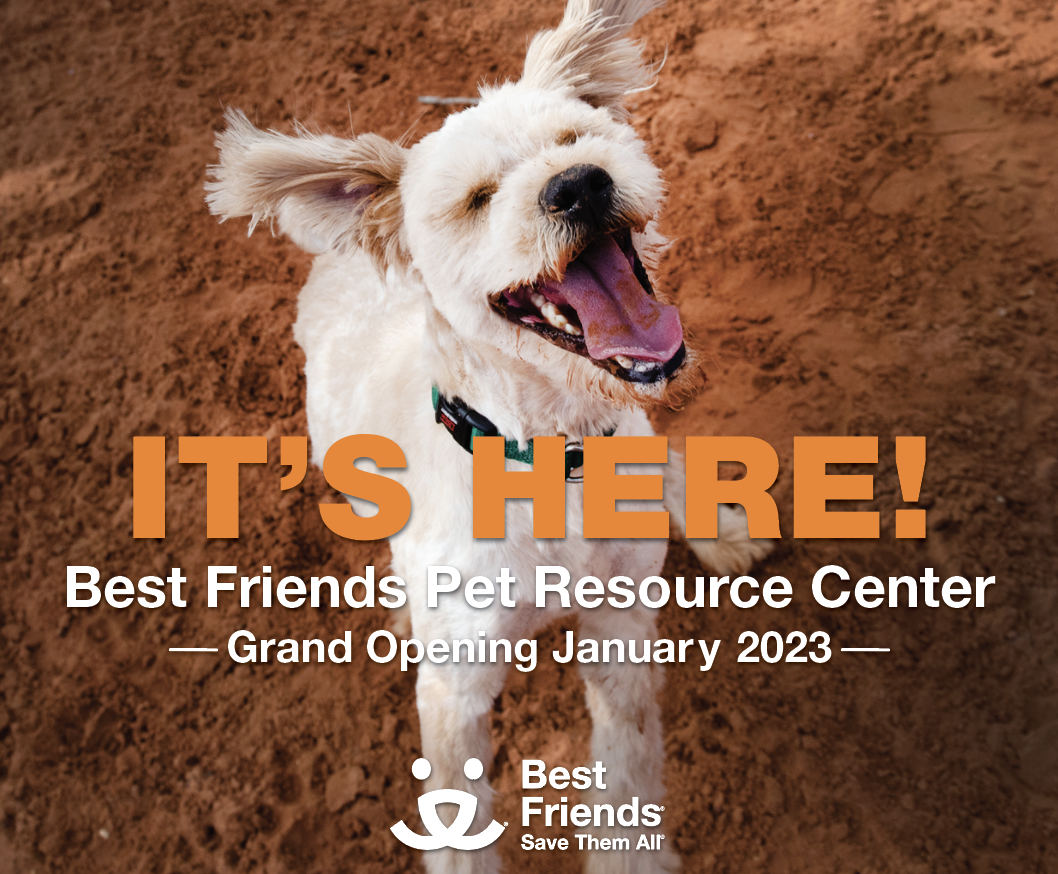 Screen Shot 2022-12-01 at 11.56.09 AM.png