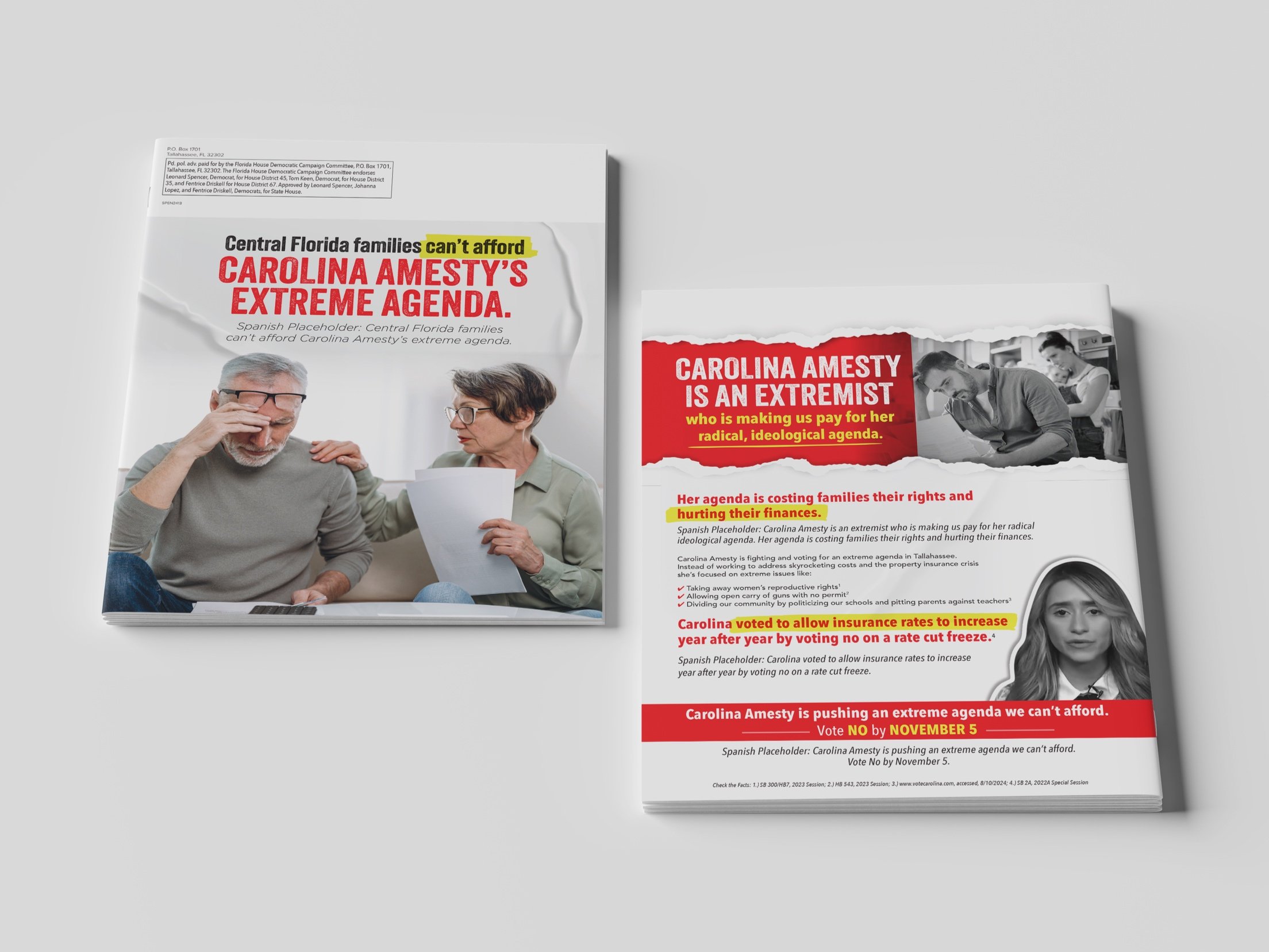 Opposing Candidate – Campaign Mailer 