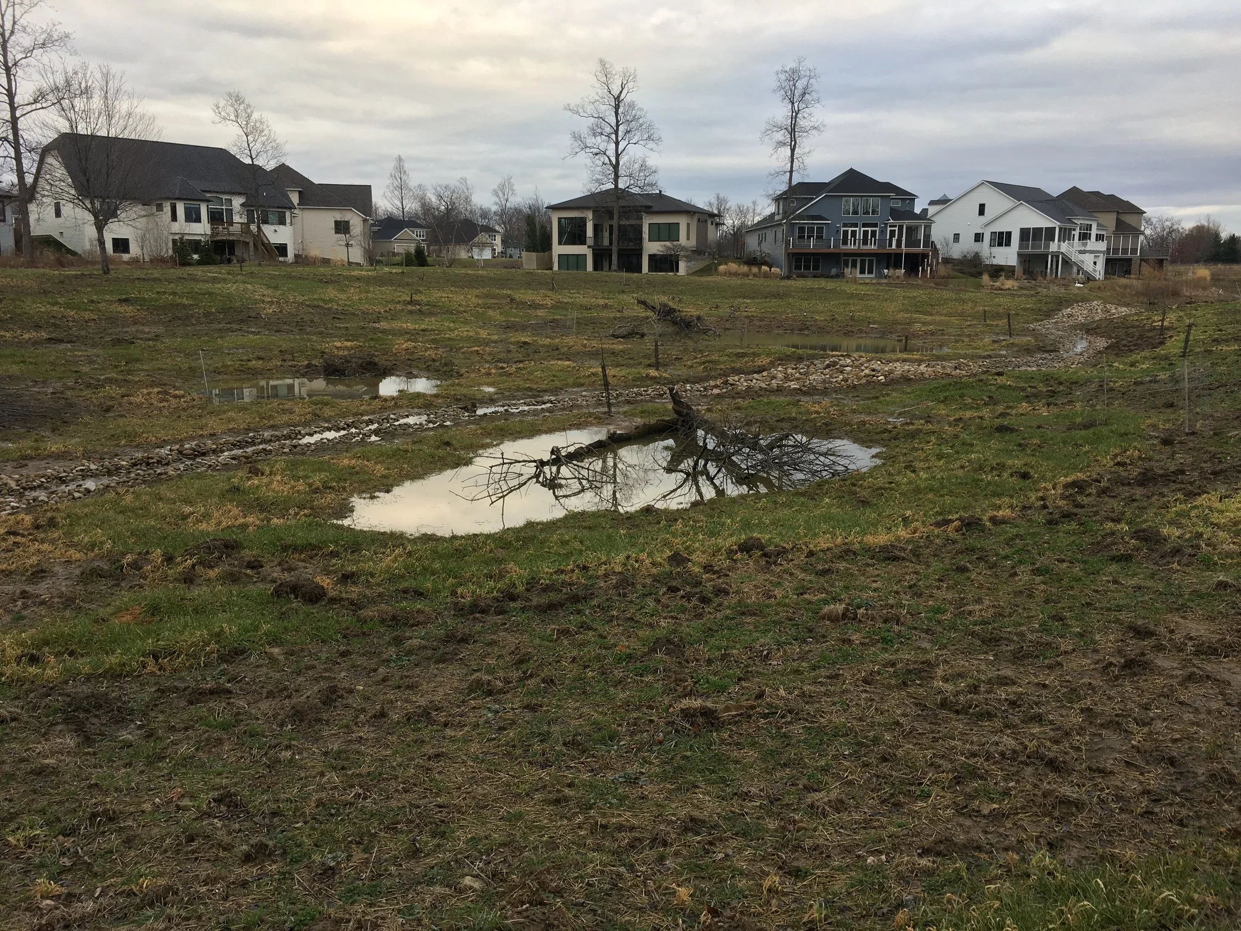 Acacia-post-construction_pocket-wetlands.jpg