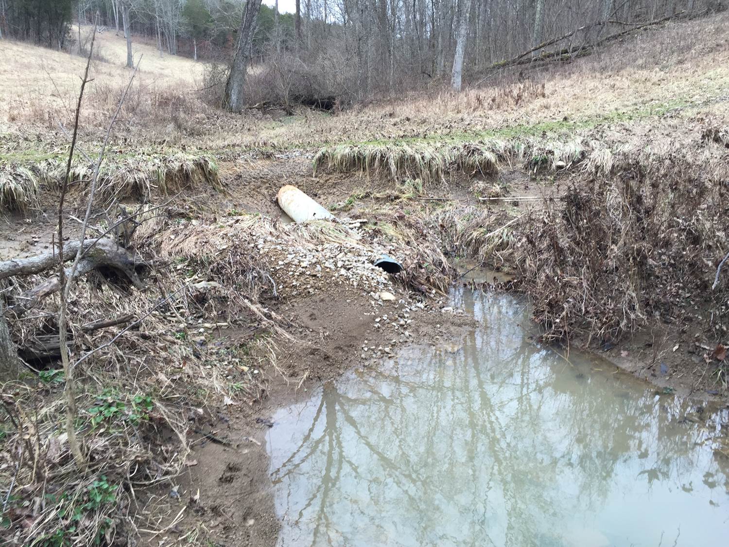 Downstream-culvert-crossing.jpg