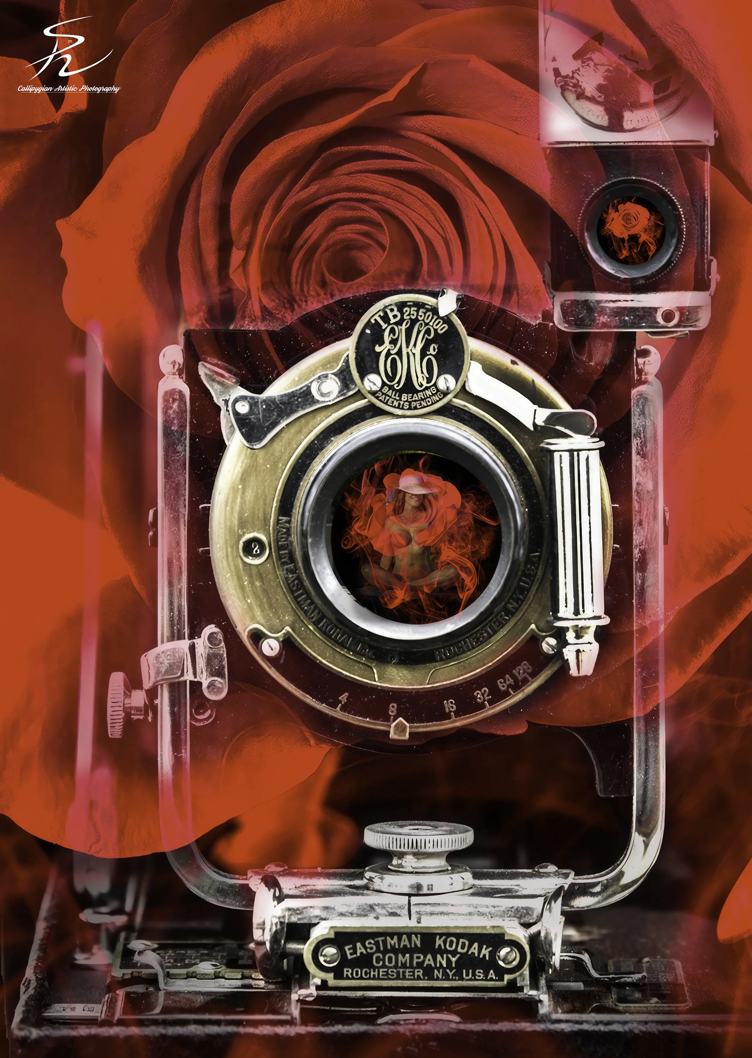 Macro (AI)  - 001.jpg