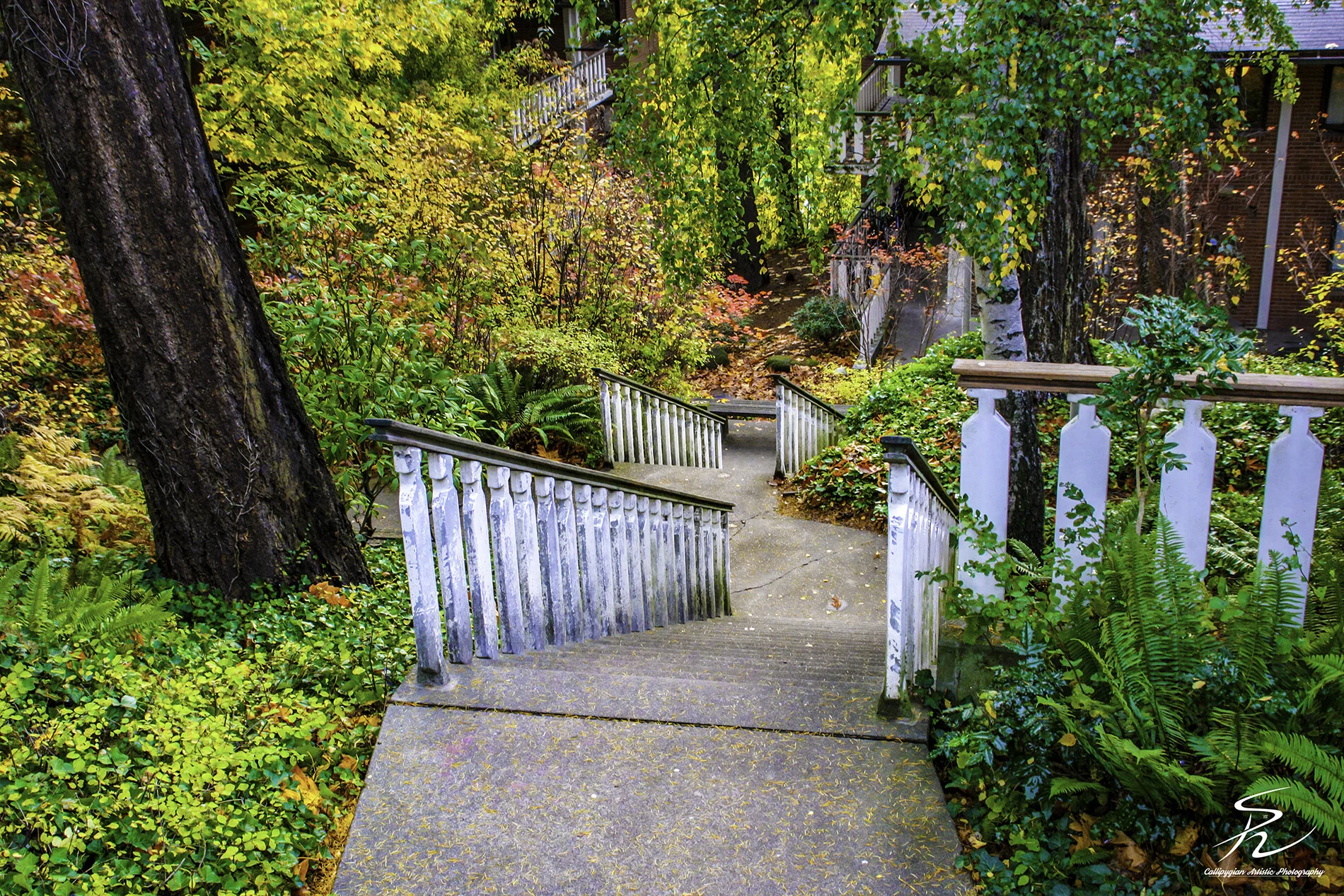 Grt NW   October 24, 2009  0017-Edit-Edit.jpg