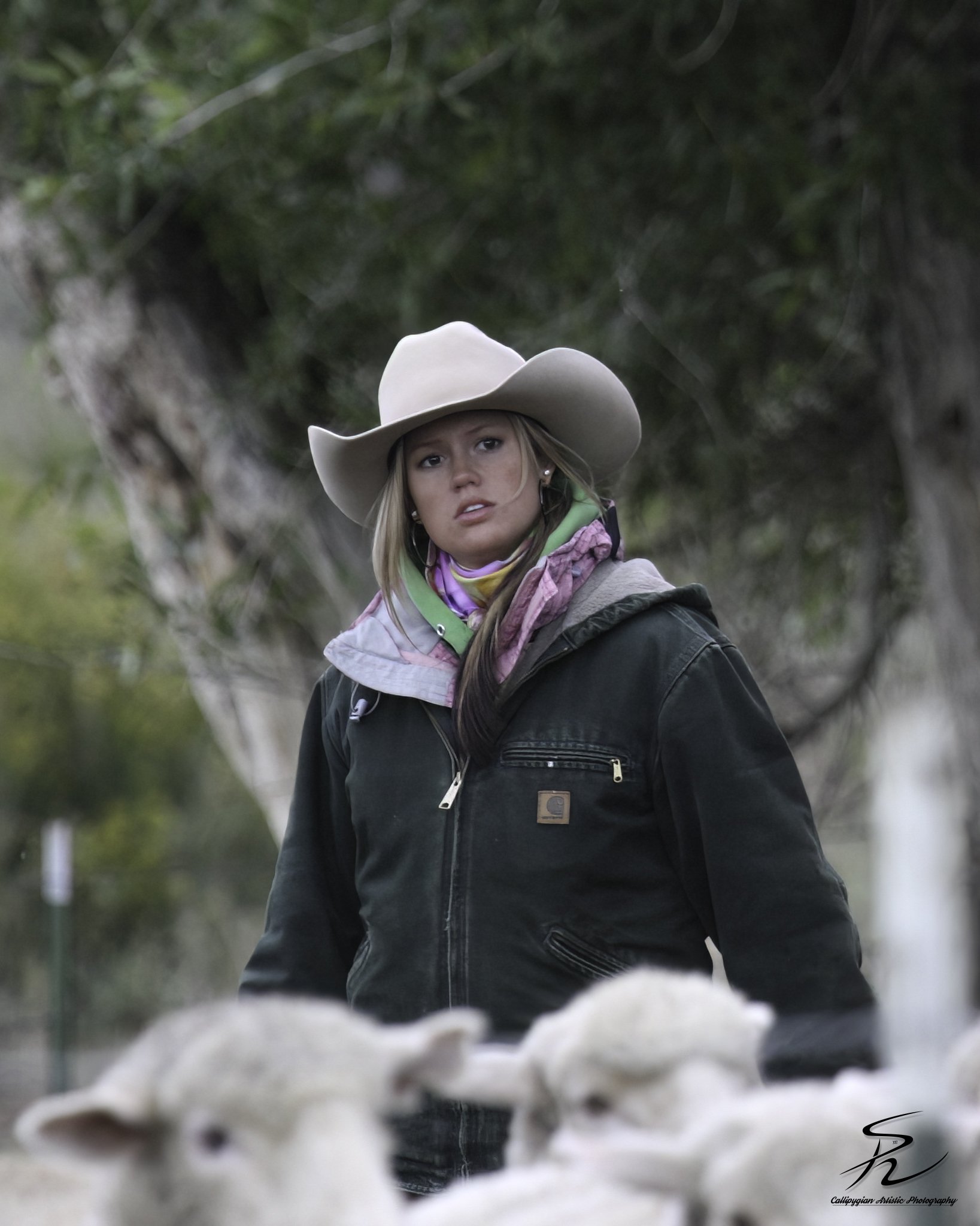 Sheep Dog Competition  September 17, 2011  0278-Edit.jpg