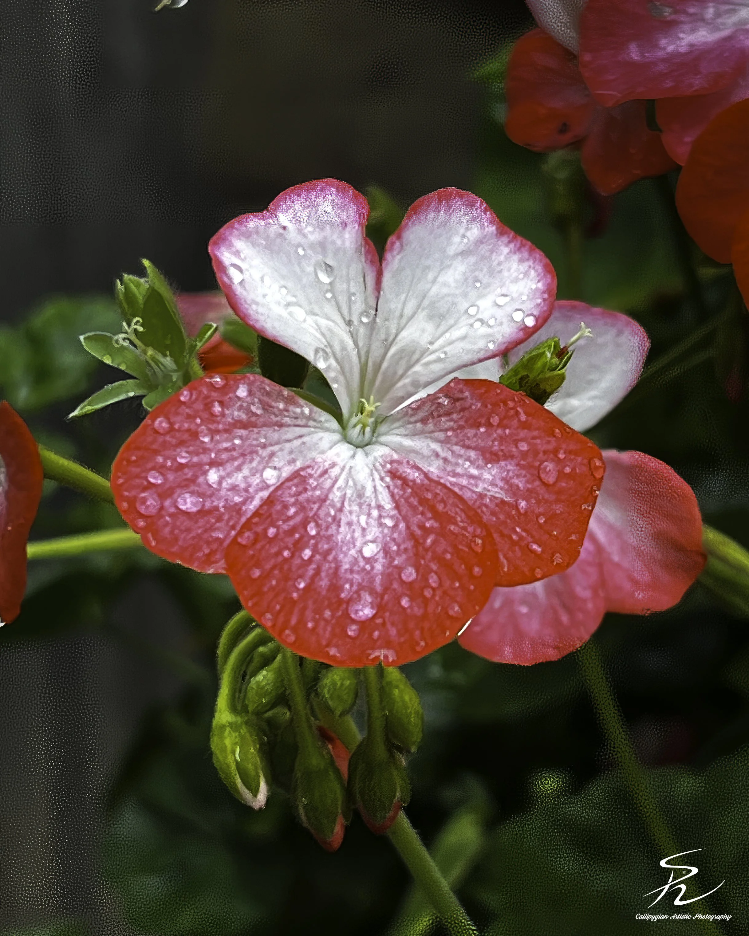 2022-06-23 Xisto Village Tour  - 098-Edit.jpg