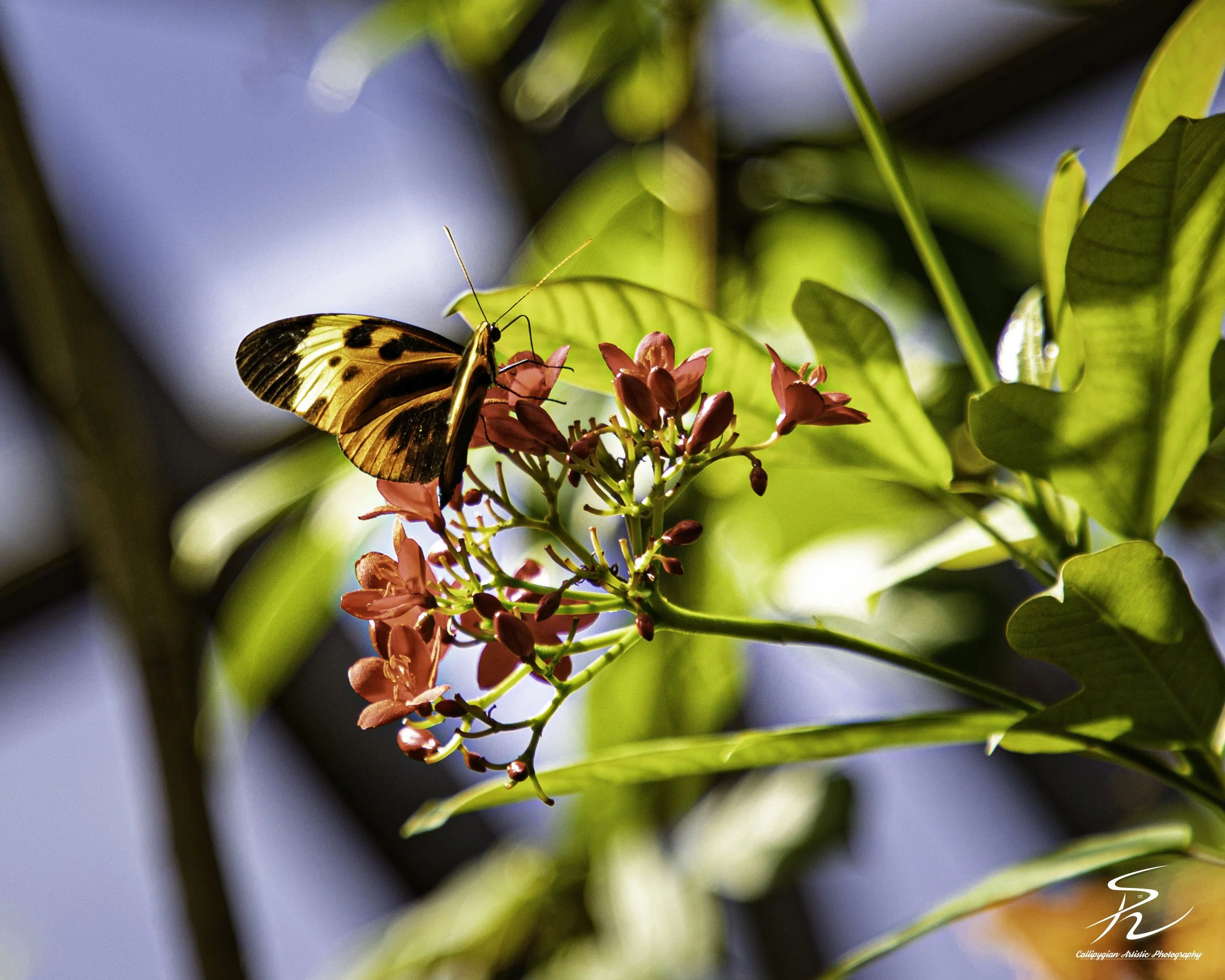 2024-10-02 Omaha Zoo -207.jpg