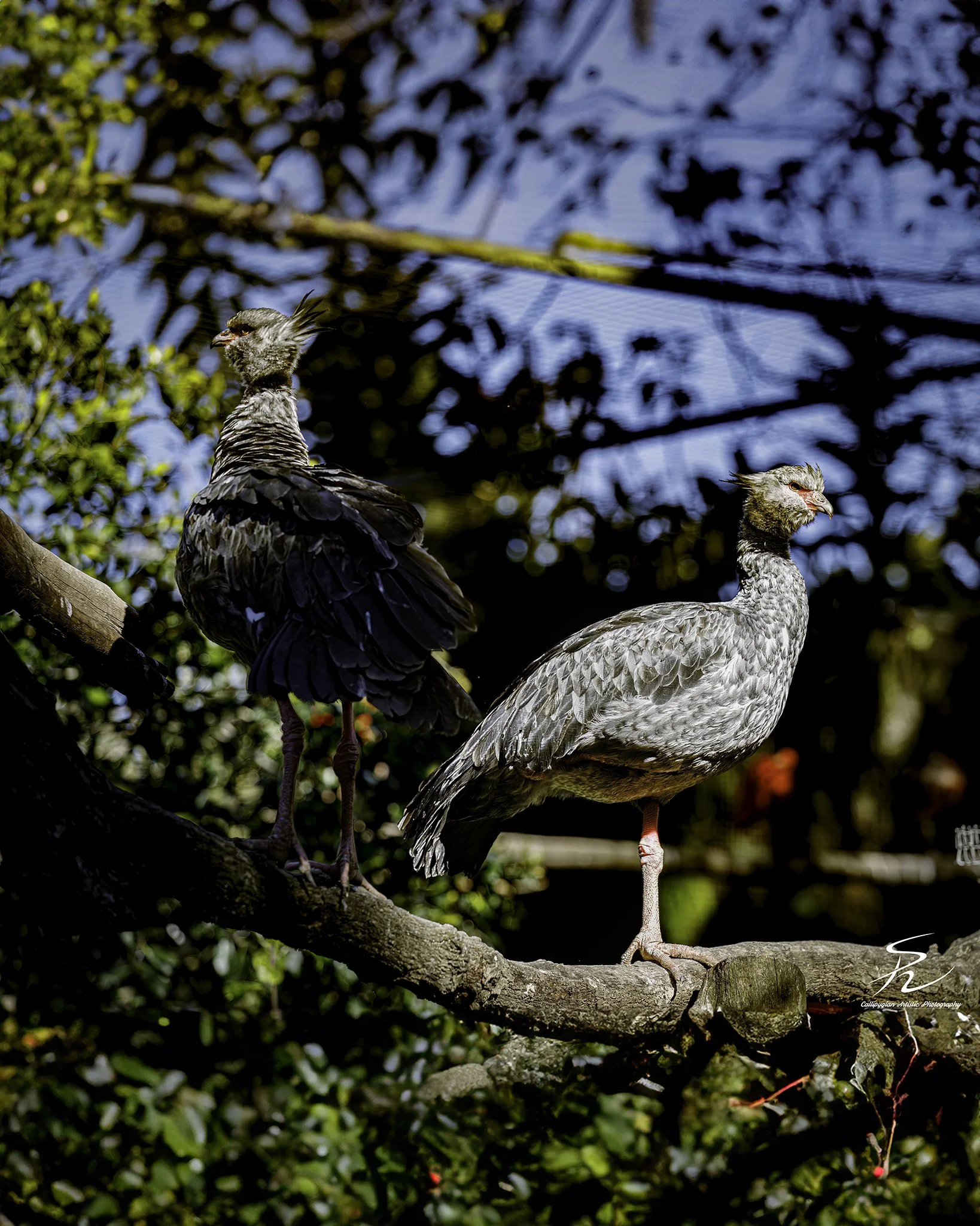 2023-01-24 Lagos Zoo  - 158-Edit-Edit.jpg
