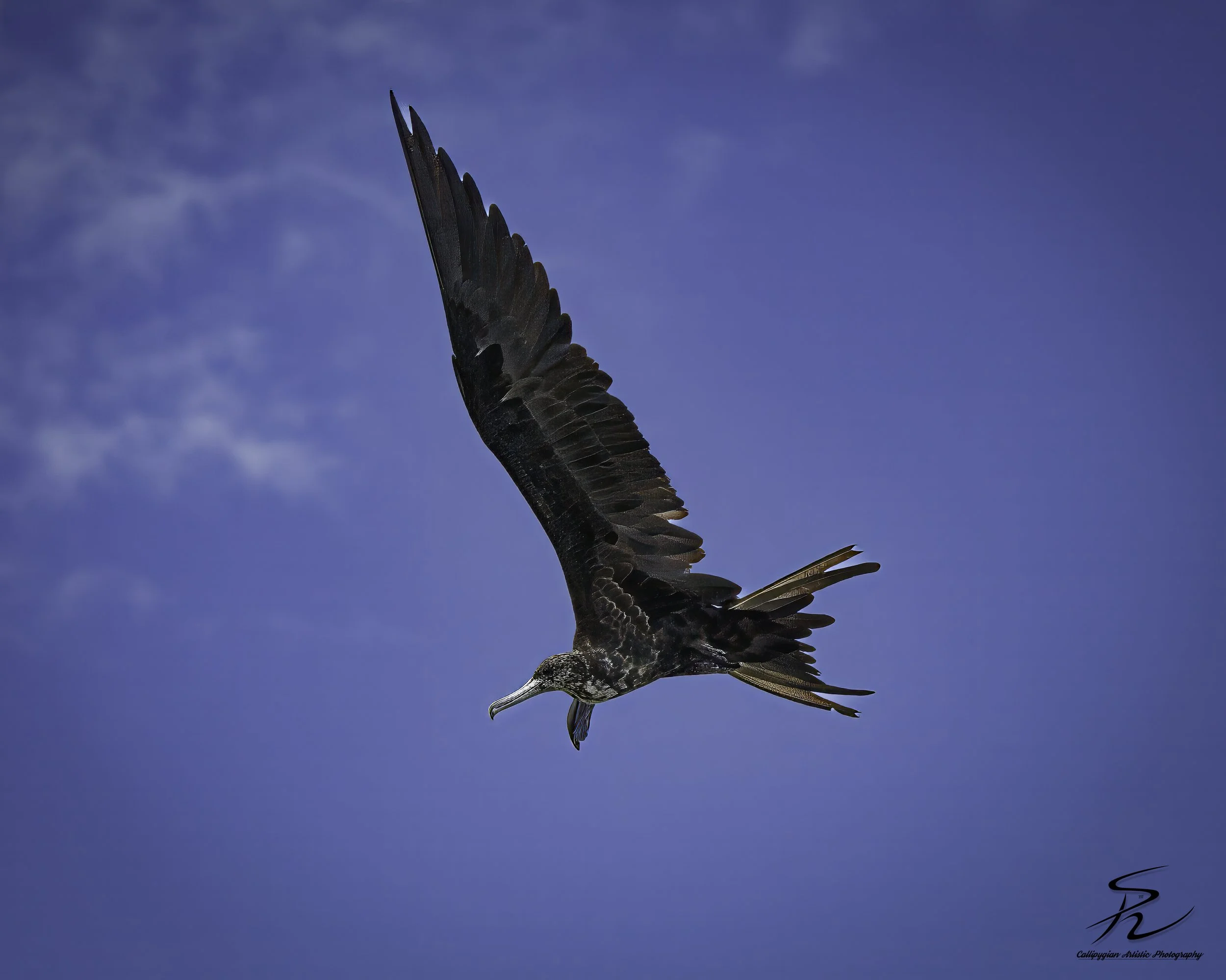 StLuc Fisherman  2018  040-Edit-Edit-2.jpg