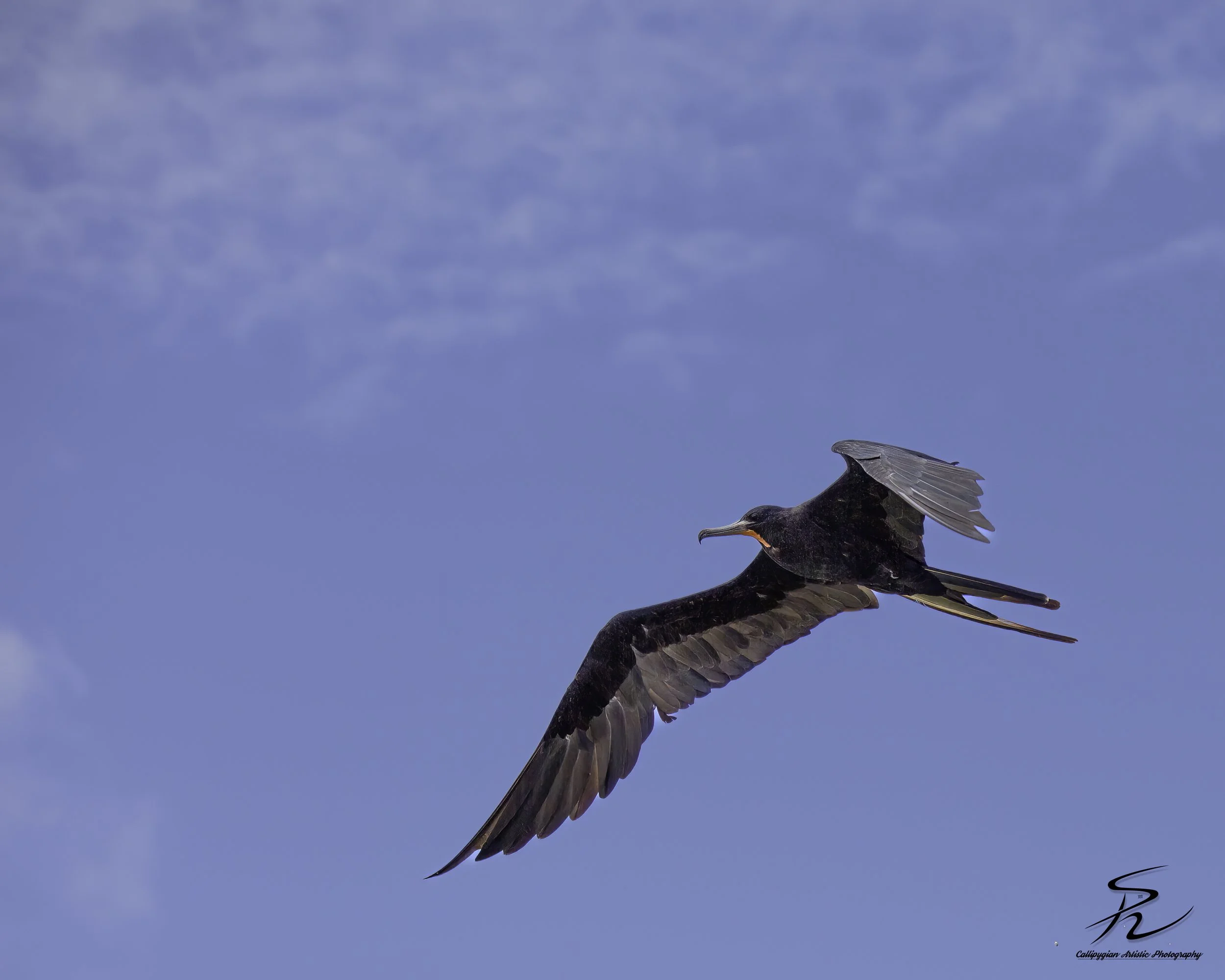 StLuc Fisherman  2018  043-Edit-Edit.jpg
