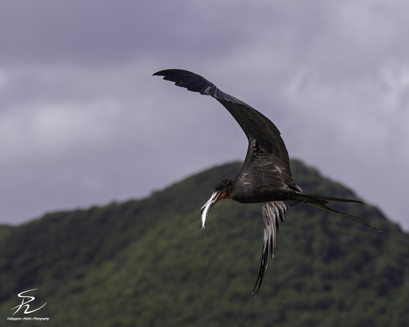 StLuc Fisherman  2018  053-Edit.jpg