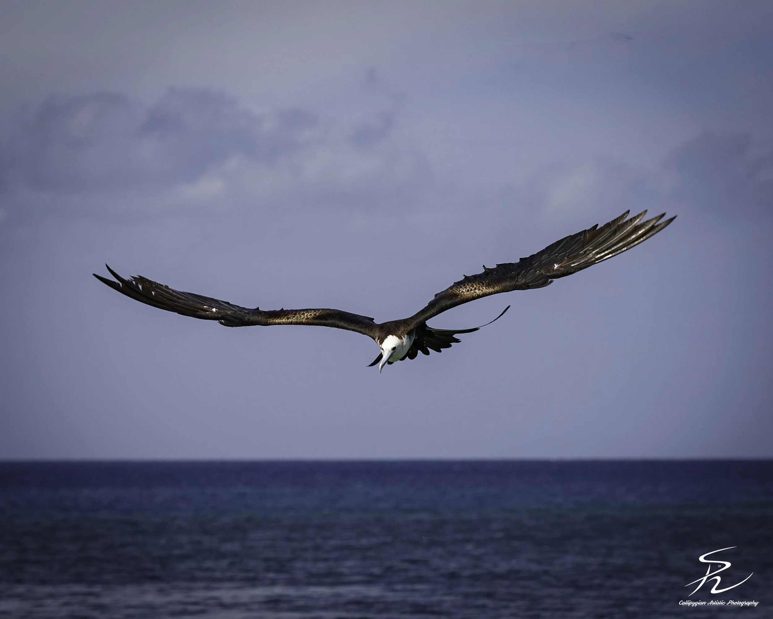 StLuc Fisherman  2018  087.jpg