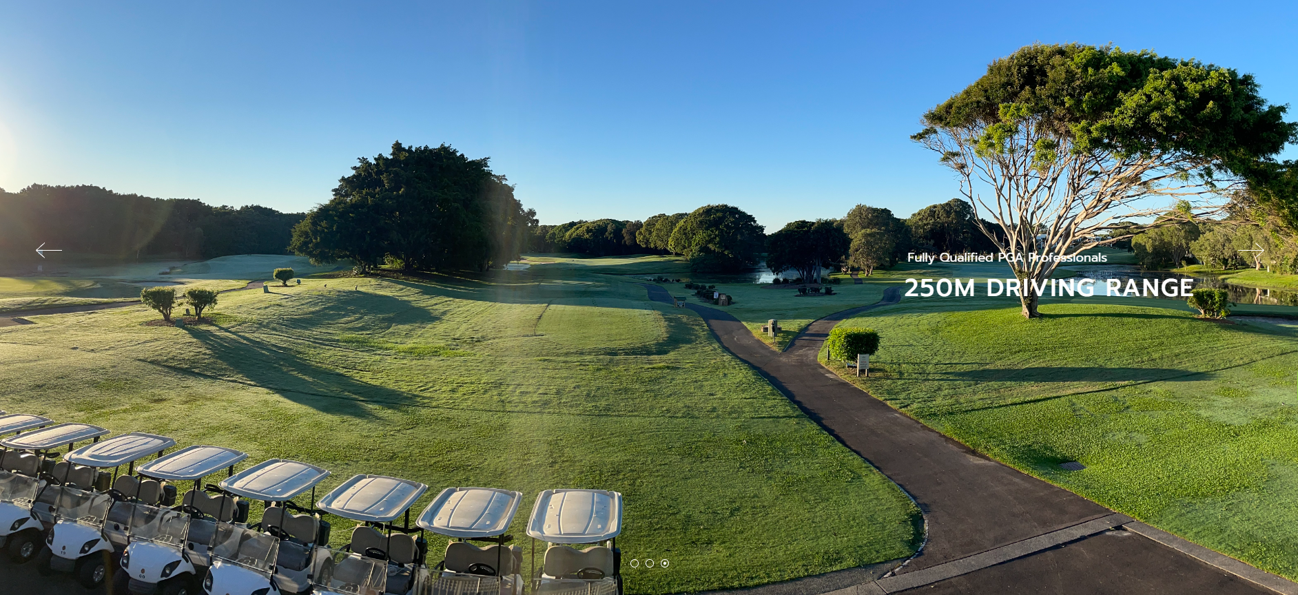 gOLF SHOT.png