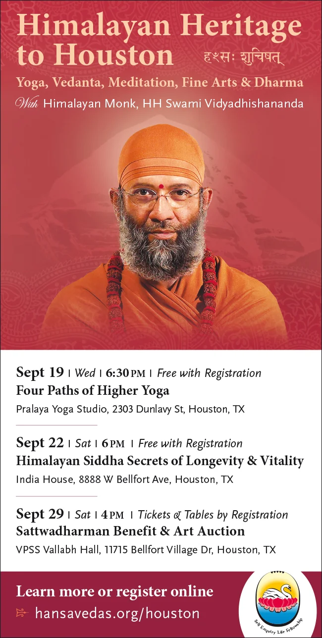 2018 Houston E-Flyer.jpg