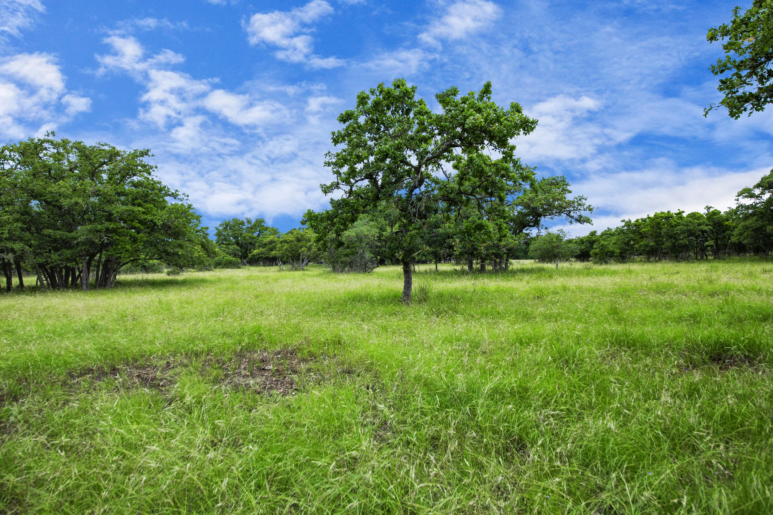 Hill Top Estates: Tract 5