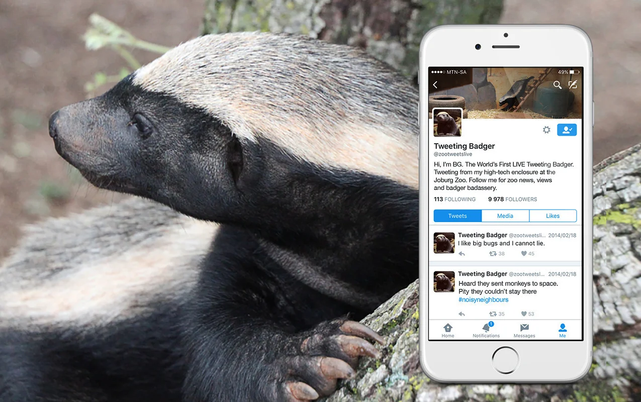 Badger_Cover.jpg