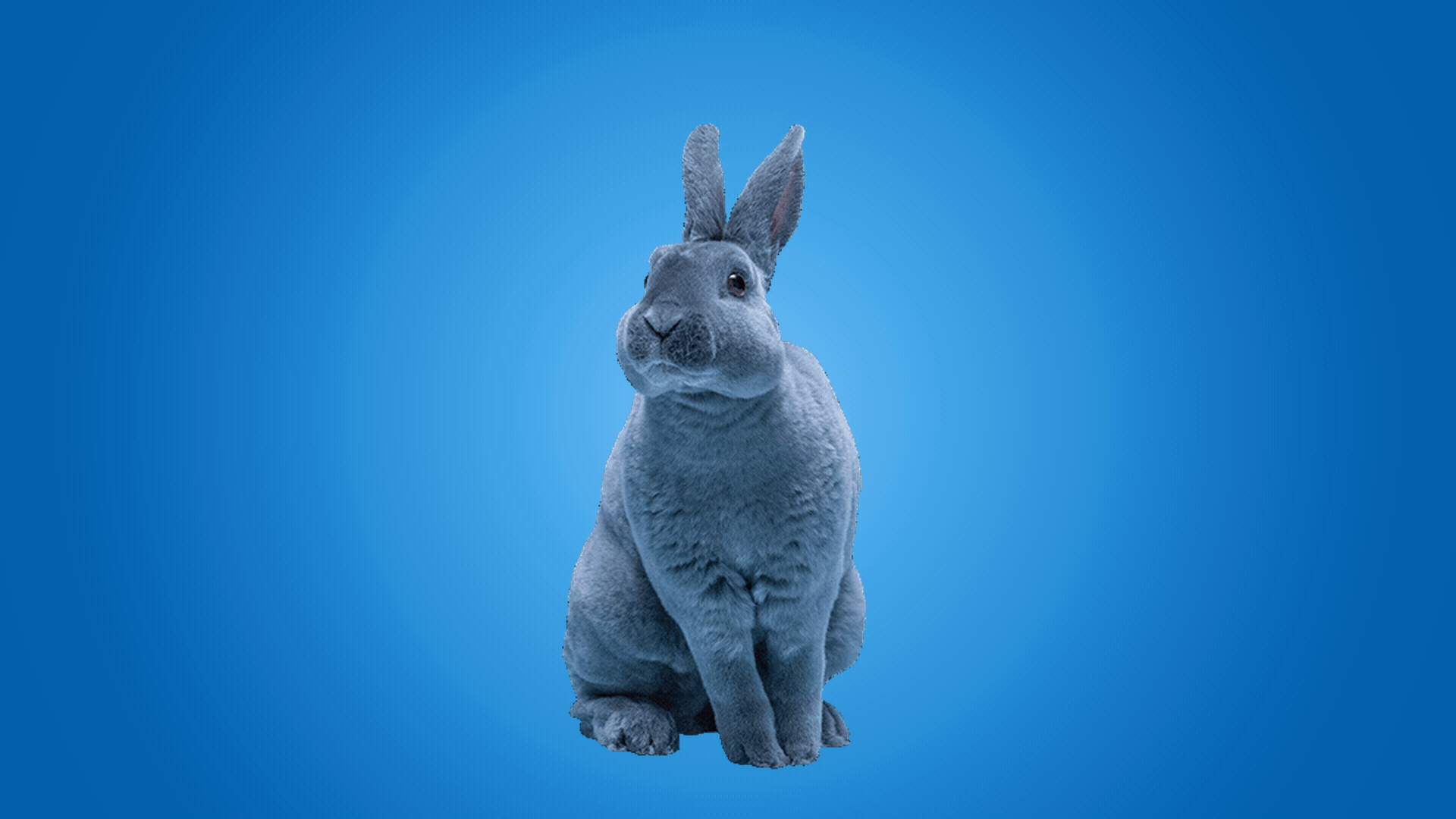 image1_to_vid4_bluebg_HQ_1920x1080.gif