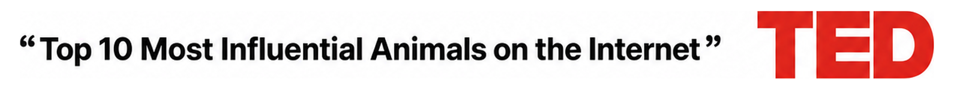 TED-Top-10-Internet-Animals-Quoted-Banner-1920x180.png