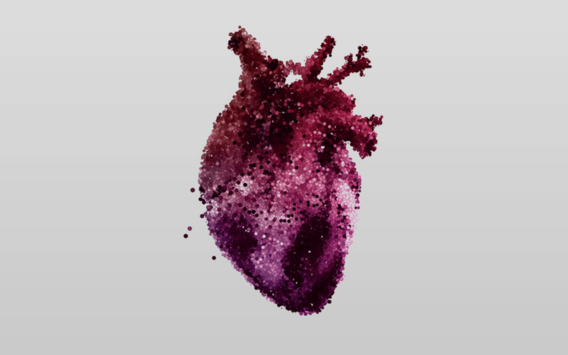 heart_grad_2400x1500_20mb_final.gif