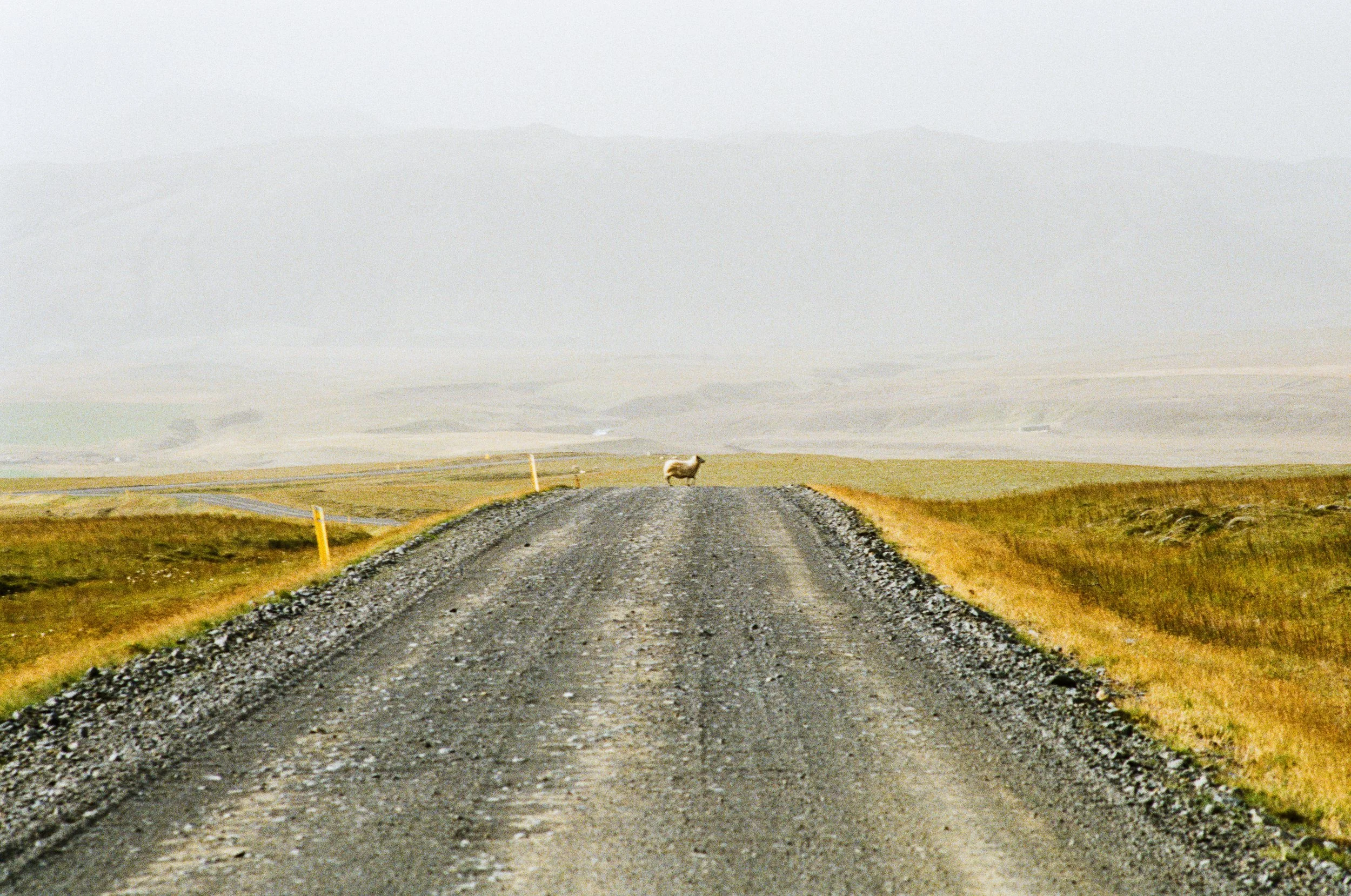 241001-WebsiteFilm-026.JPG