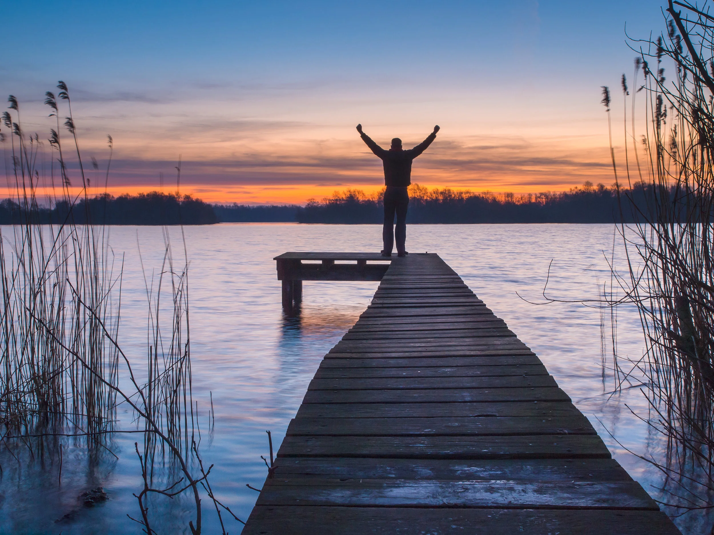 Freedom is True Wealth