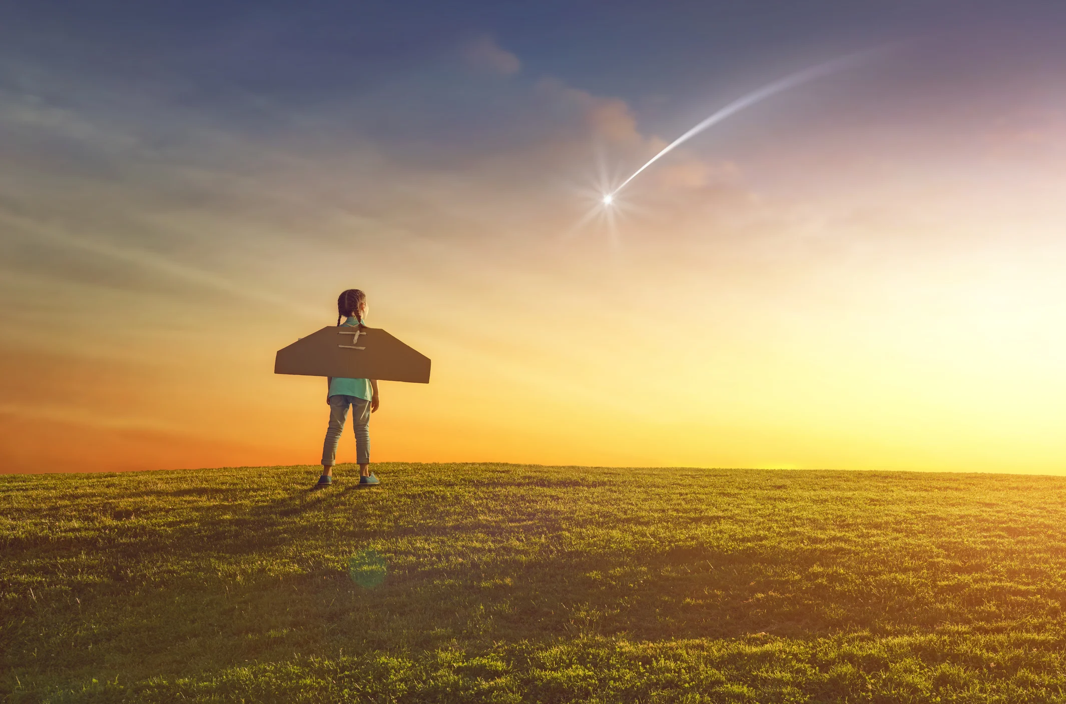 How Different Plans Work Together to Deliver on Your Dreams