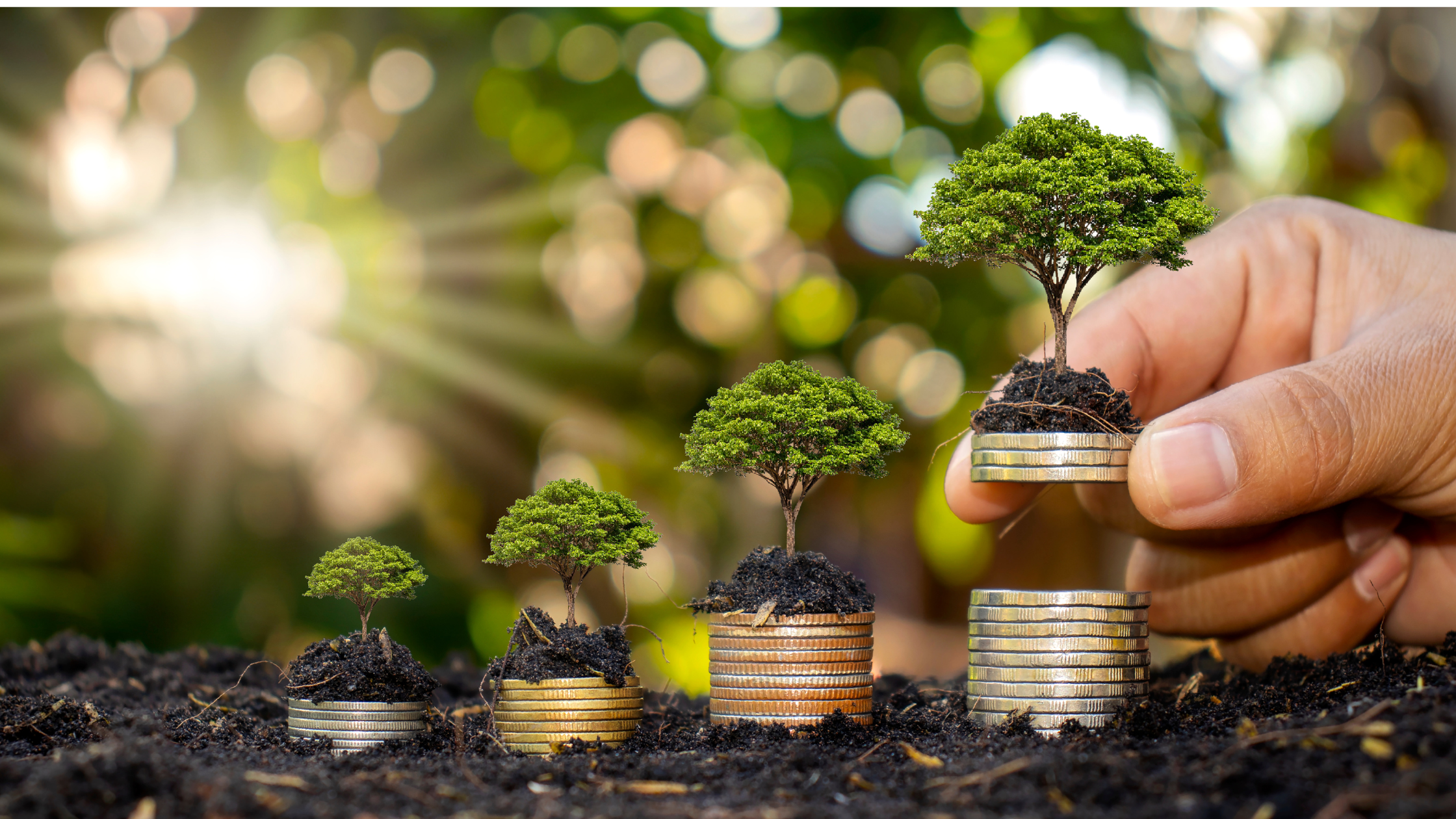 Cash Flow vs Profit - What’s the Difference and Which is More Important