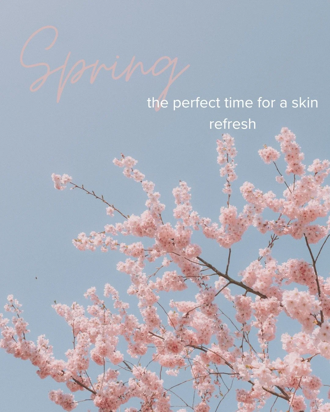🌸Spring is the perfect time to schedule your laser appointment and refresh your complexion before the summer months arrive. Book your Skincare consult with Nurse Lindsay to achieve your goals and unlock your spring glow ✨