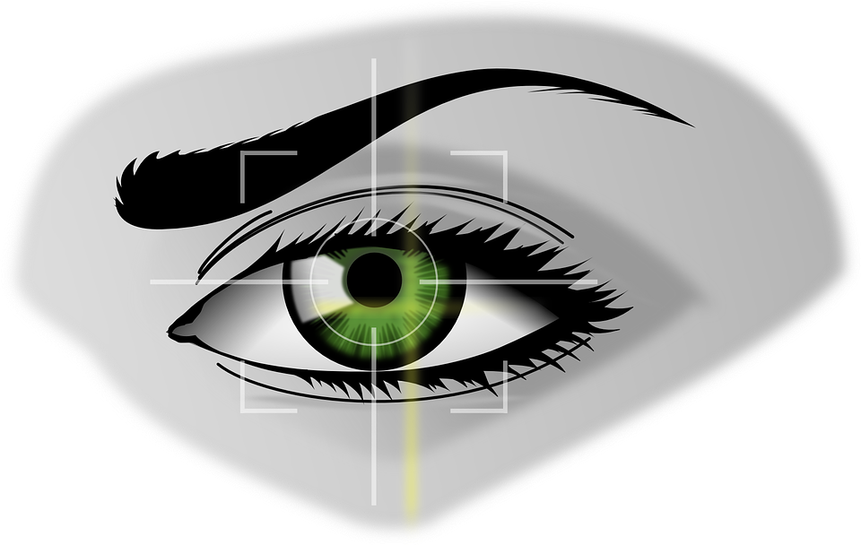 biometrics-154660_960_720.png