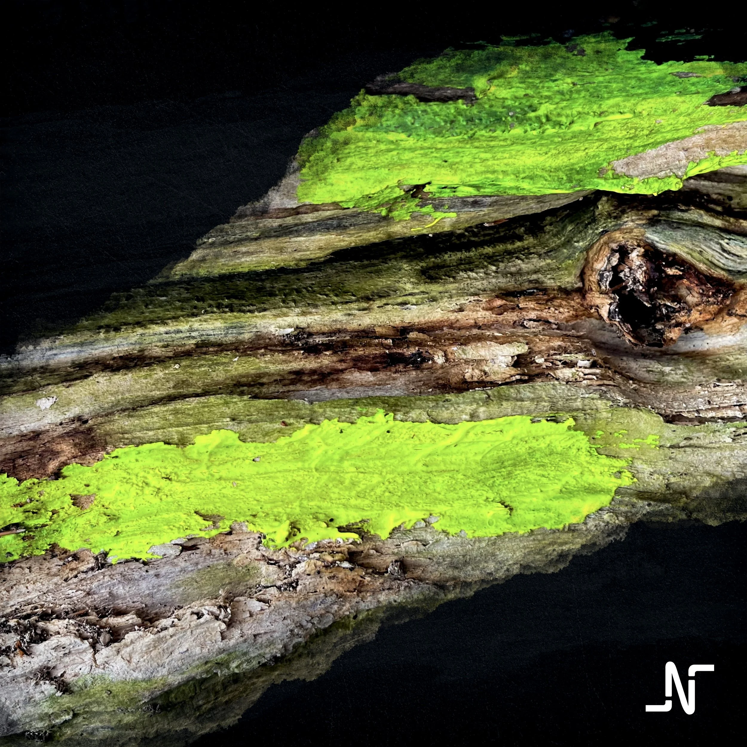 SIGNAL released today