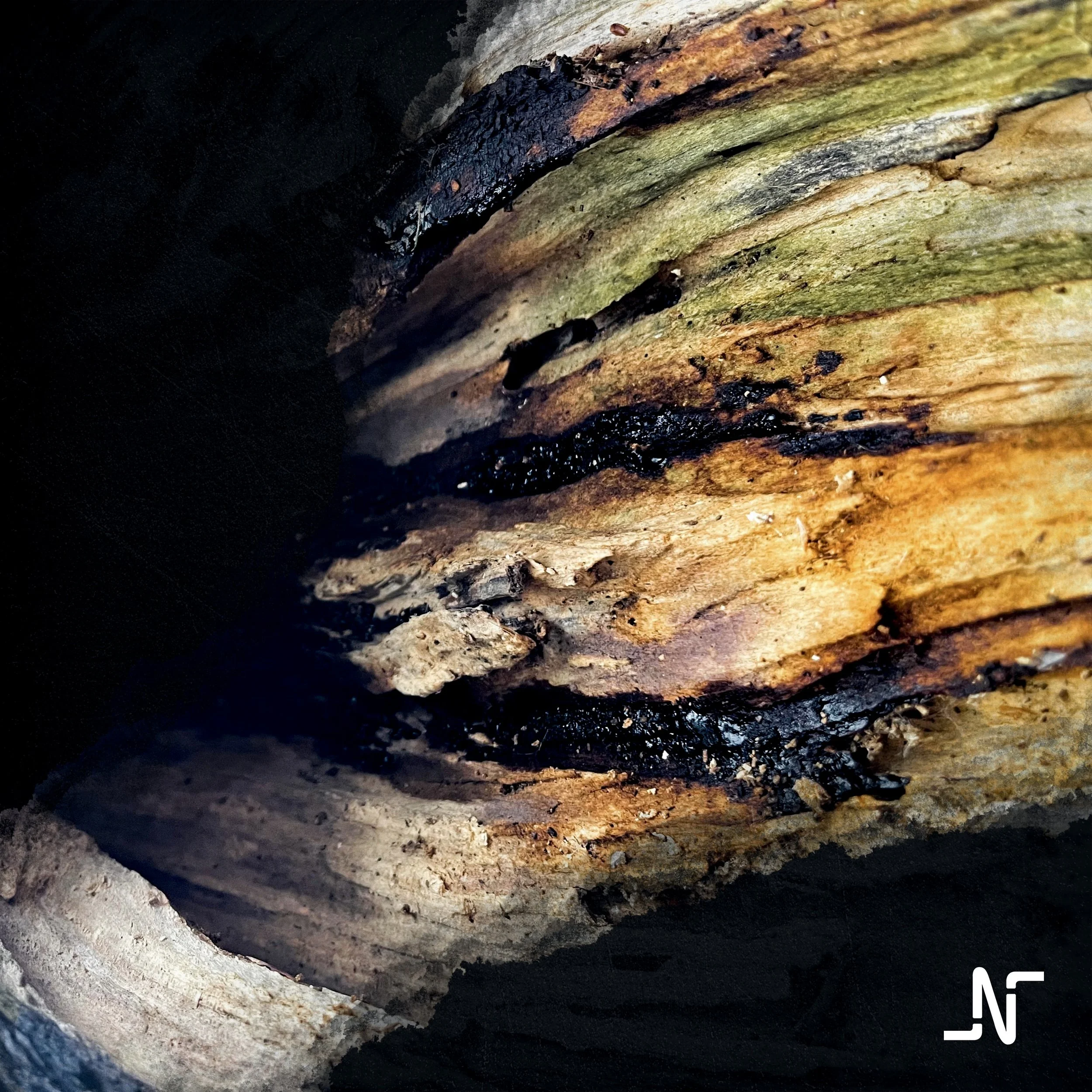 RESPOND + LEVITATE - OUT NOW!