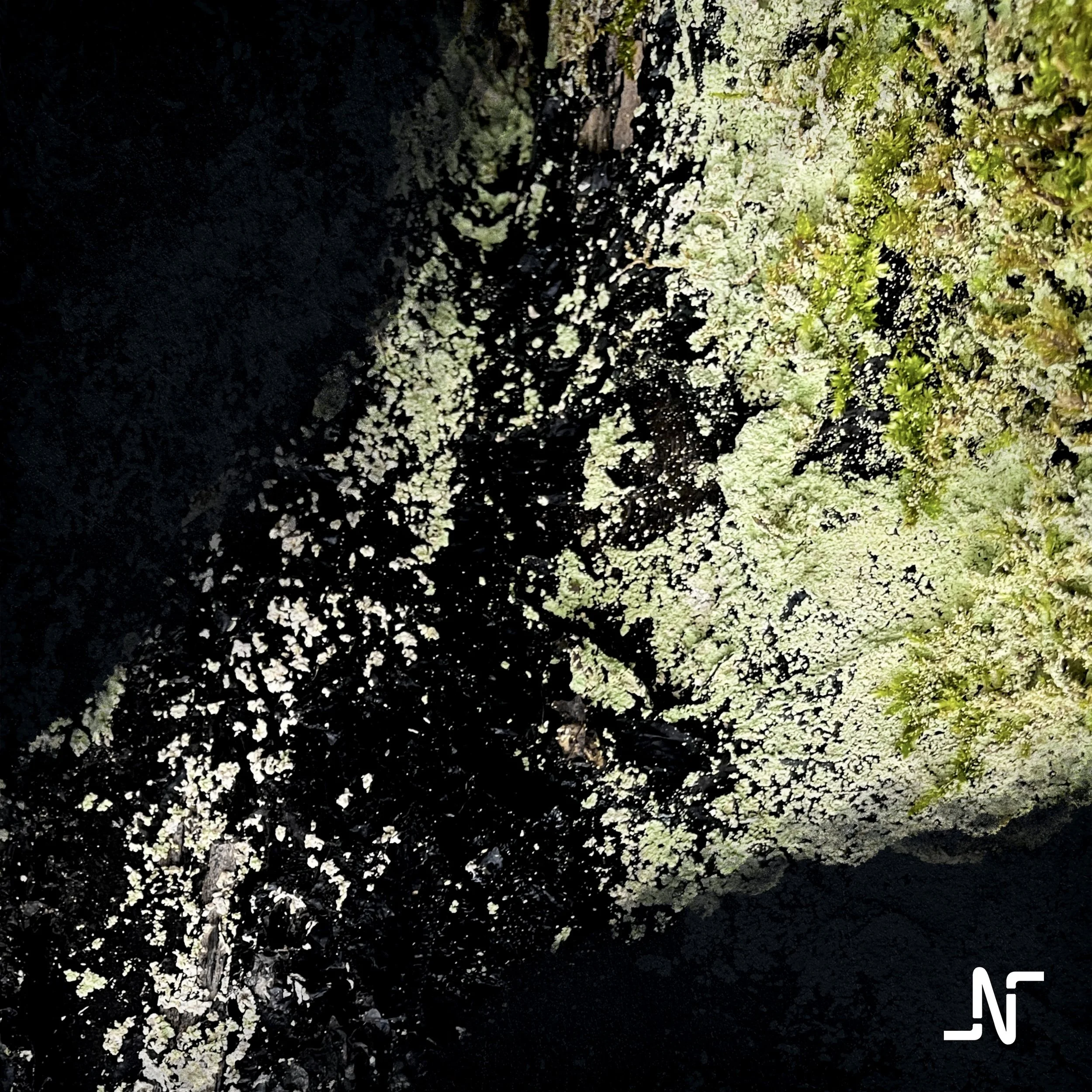 RETROGRADE + MURK - OUT NOW