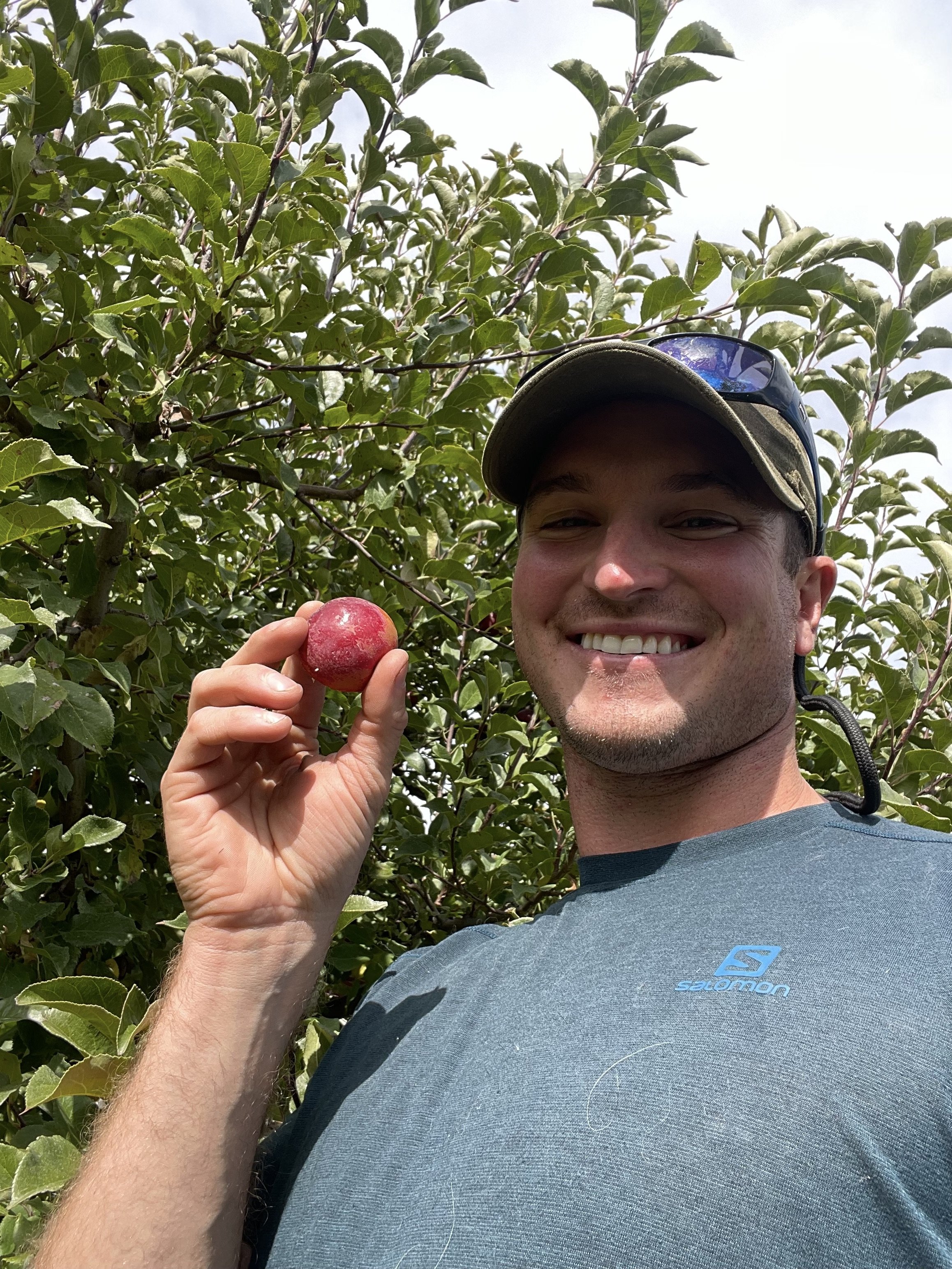 Kerr Crab — Montana Fruit Tree Company