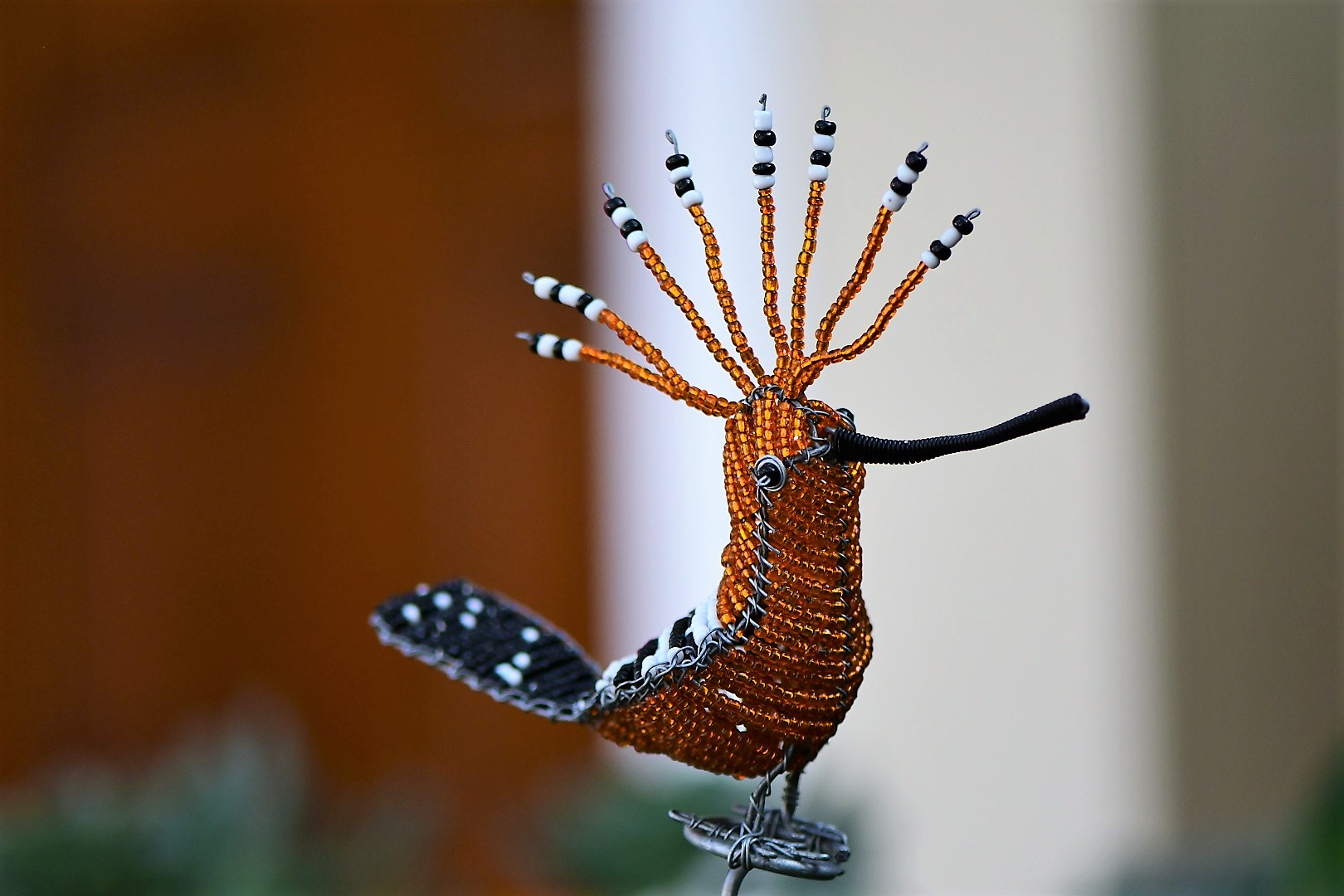 Hoopoe (2).jpeg