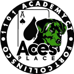 1512491959-Ace_s_Logo_No_BG.png
