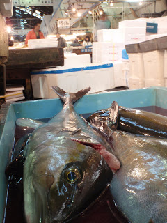 Japanese-Fish-Market-Toyko-Angela-Sun-Chasing-A-Sun-3.JPG