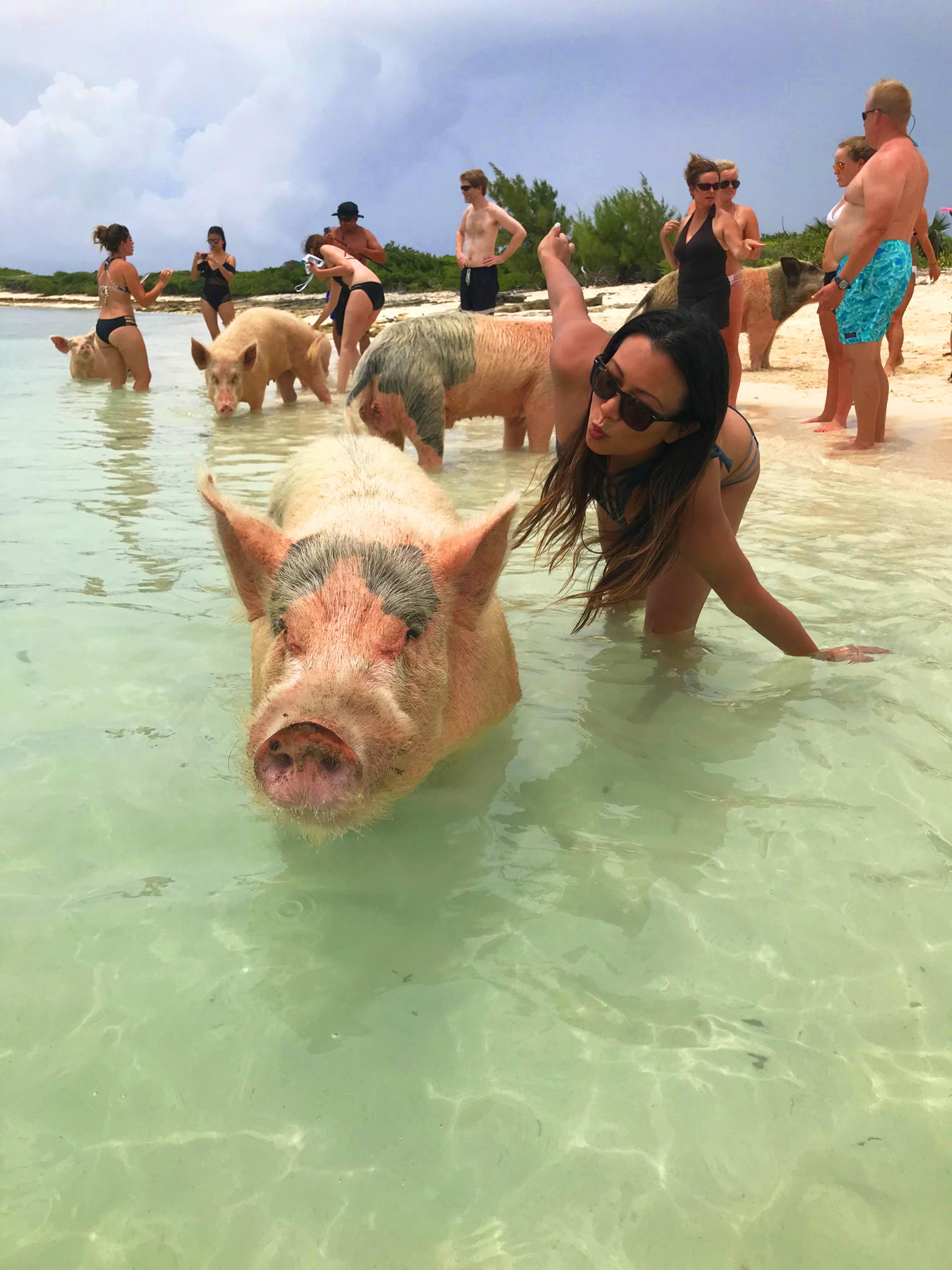 Chasing-A-Sun-Swimming-Pigs-Exuma-Bahamas-Angela-Sun-4.jpg