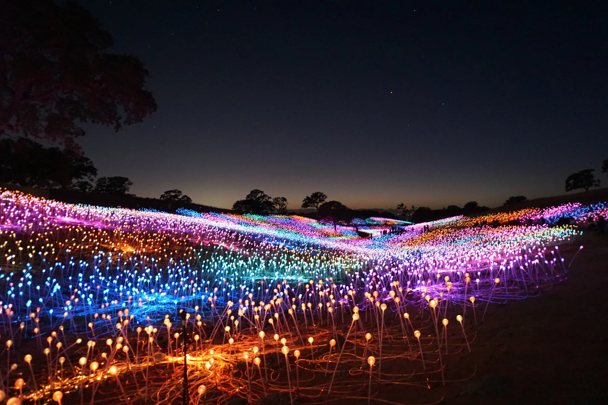 How to Visit the Field of Light at Sensorio in Paso Robles, California