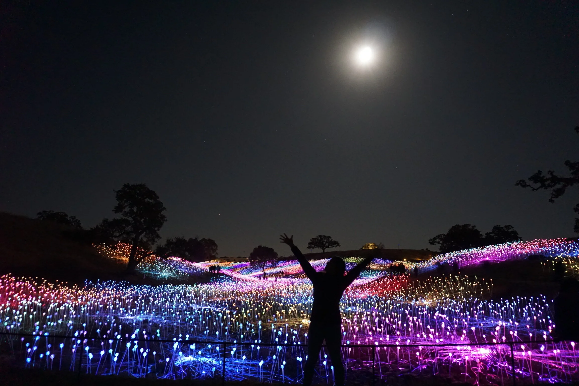 How to Visit the Field of Light at Sensorio in Paso Robles, California