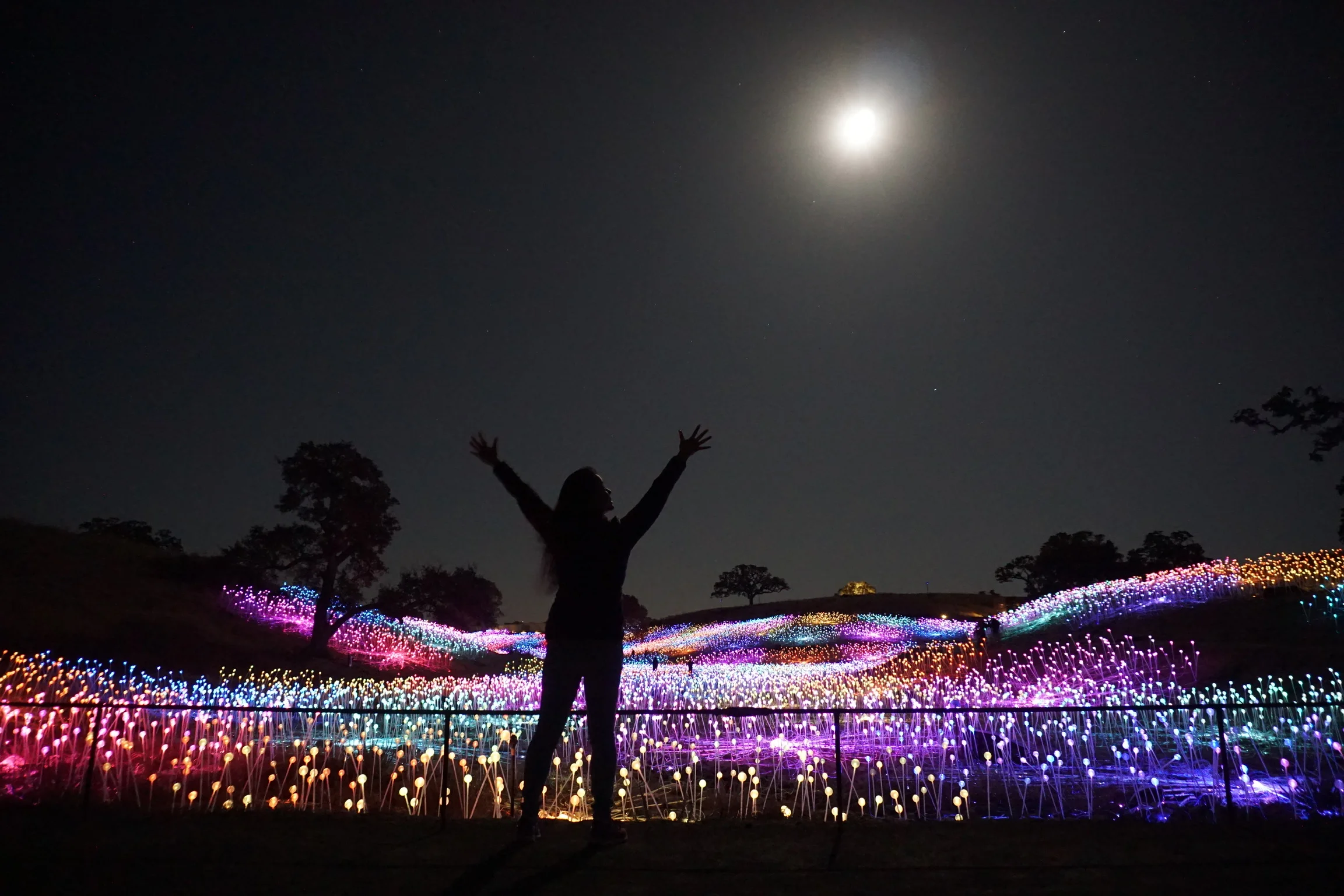 Sweet Escape from Selfies: How to Visit the Field of Light at Sensorio in Paso Robles, California