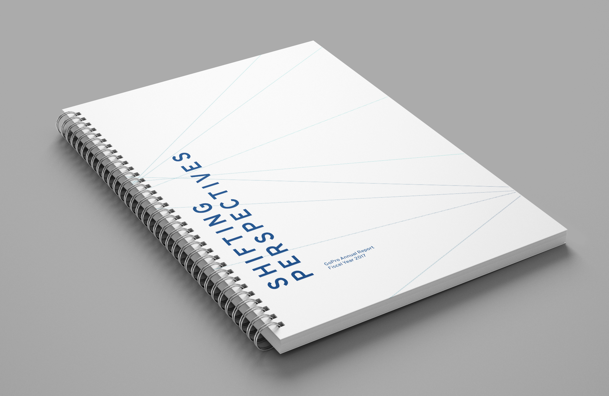 Annual Report_1.png