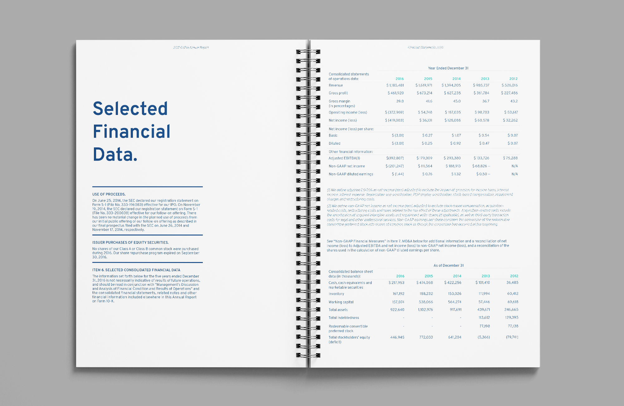 Annual Report_4.png