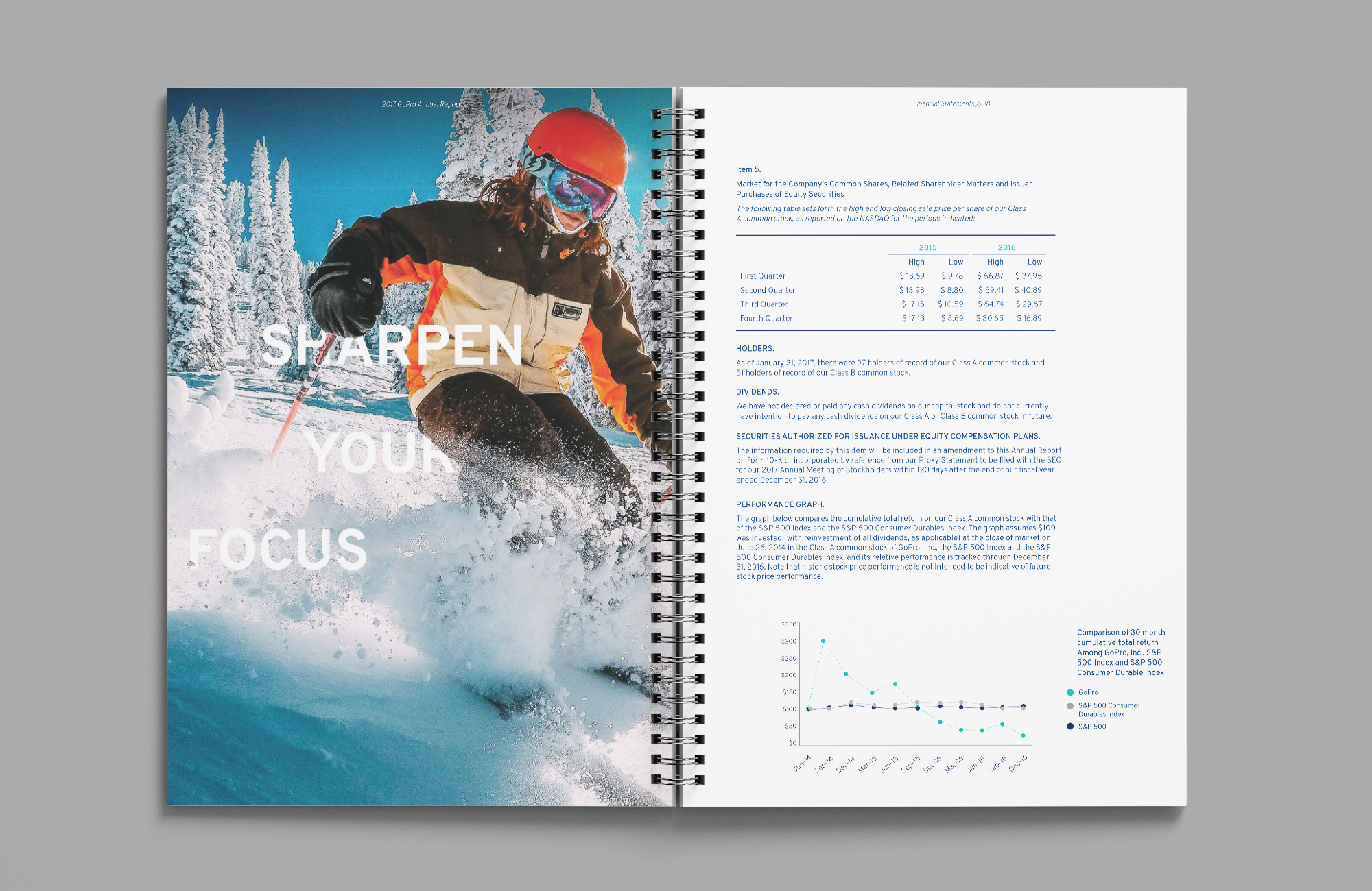 Annual Report_5.png