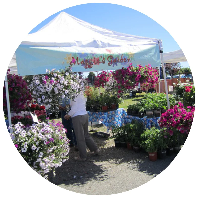 Maggie's Garden Flowering Baskets, Planters, Perennial Plants & Herbs