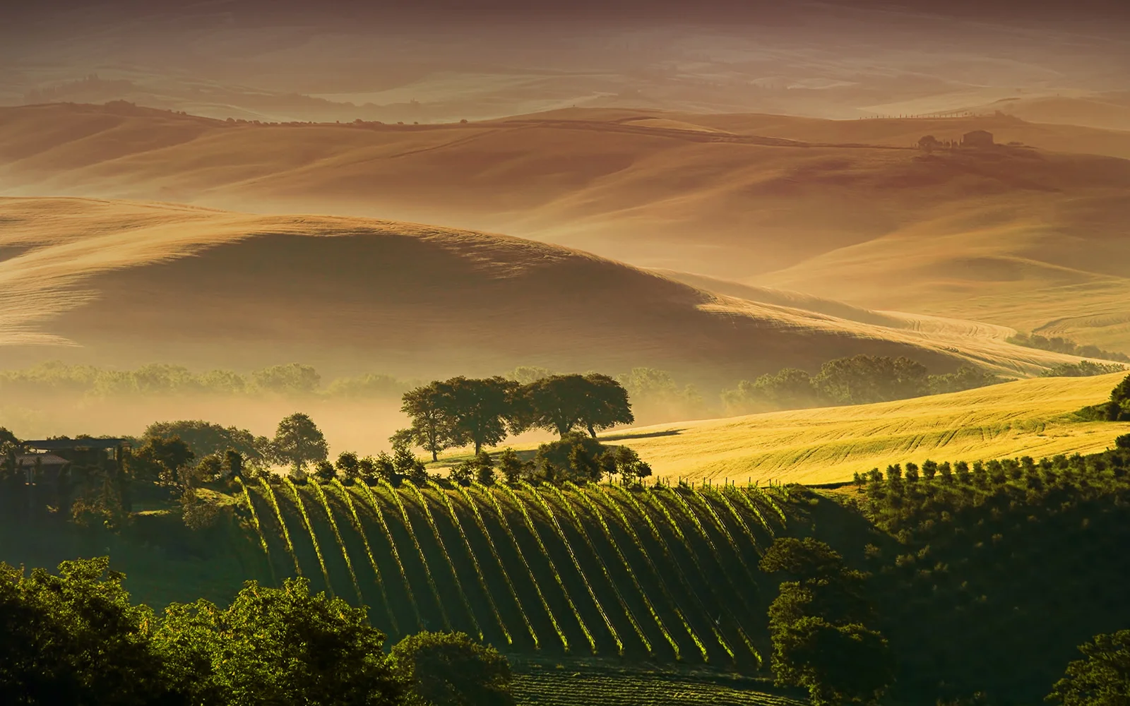 Evolution Wineries AB.jpg