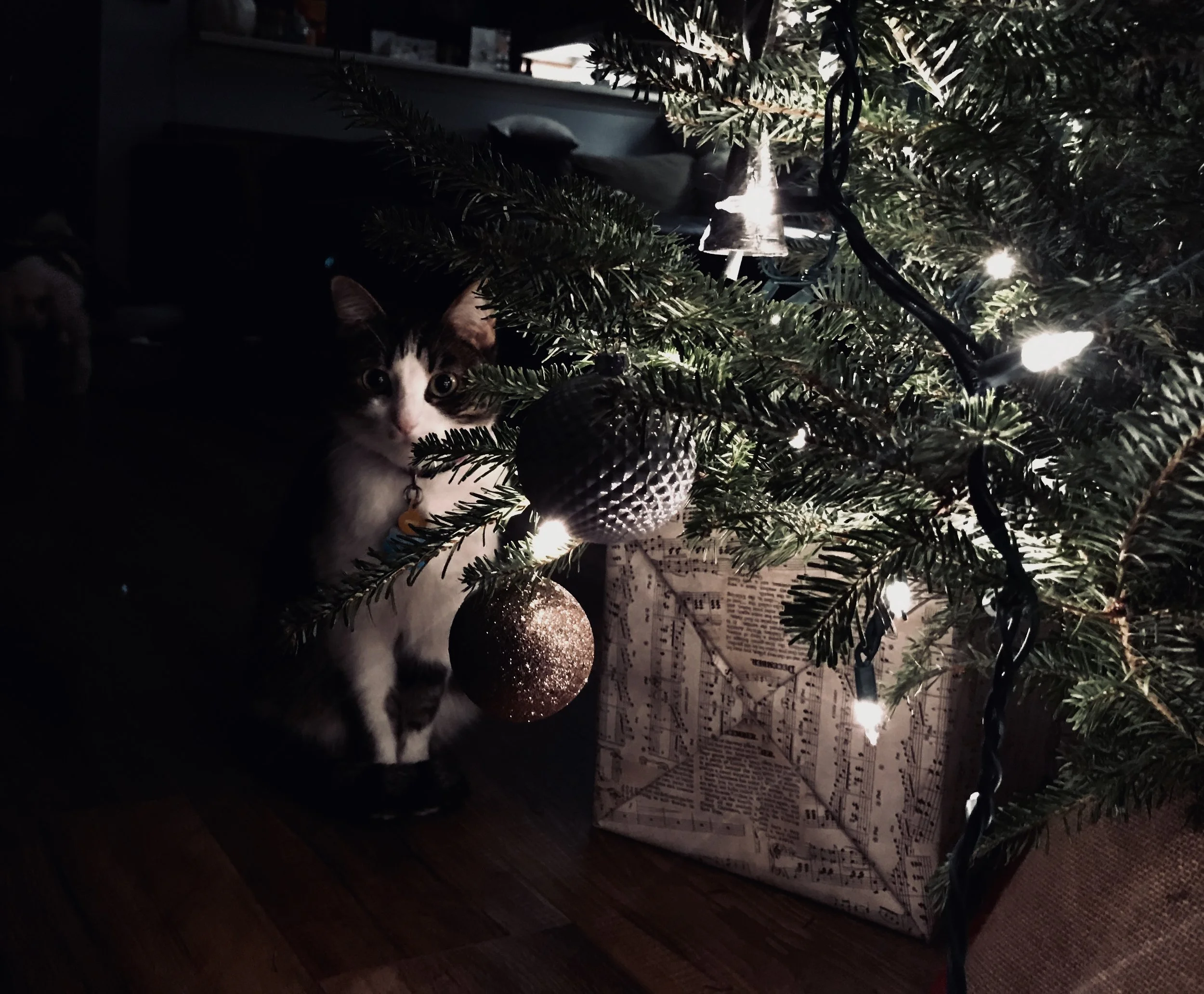 Like I Was Saying...