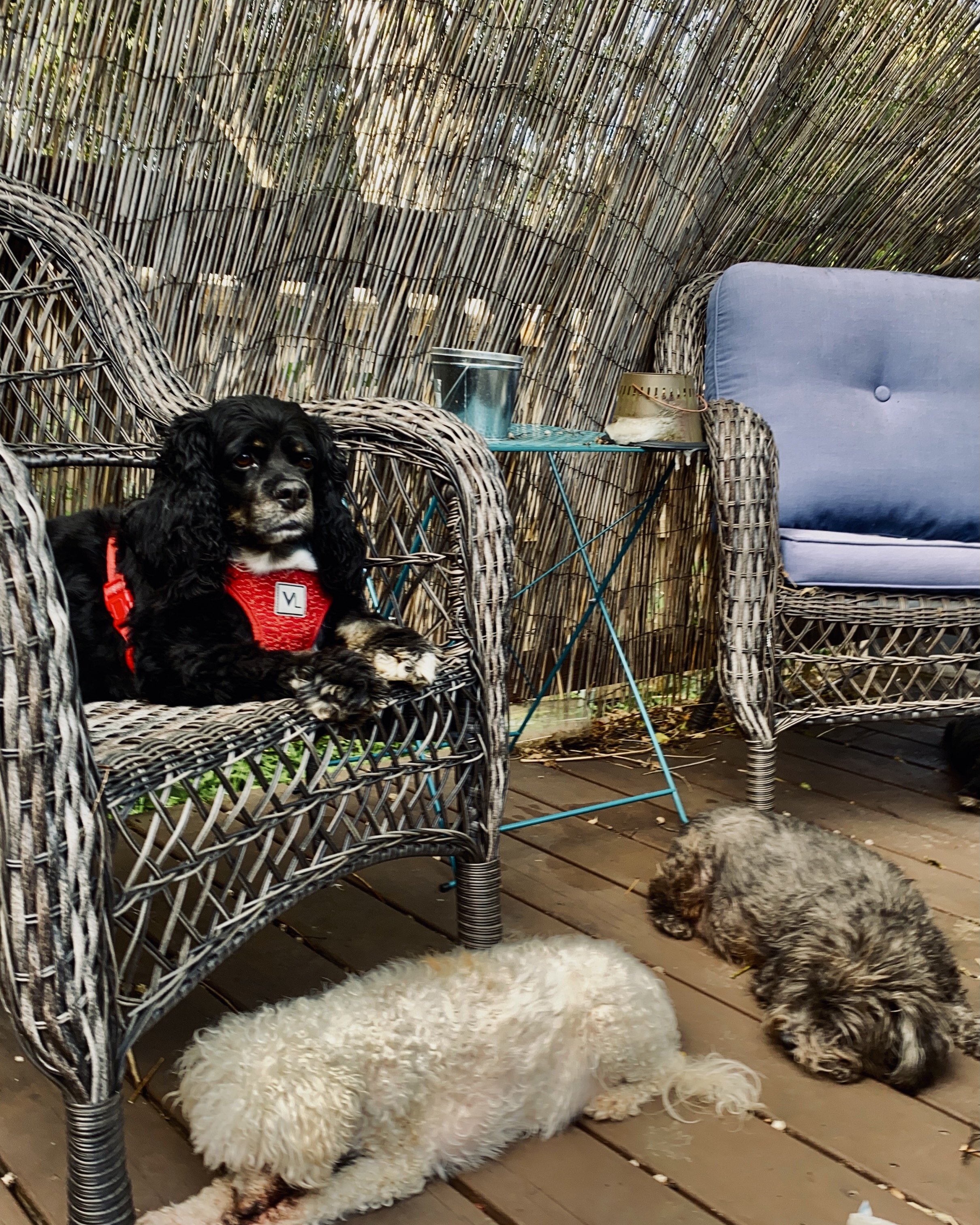 Hobbying On A Sunday&nbsp;