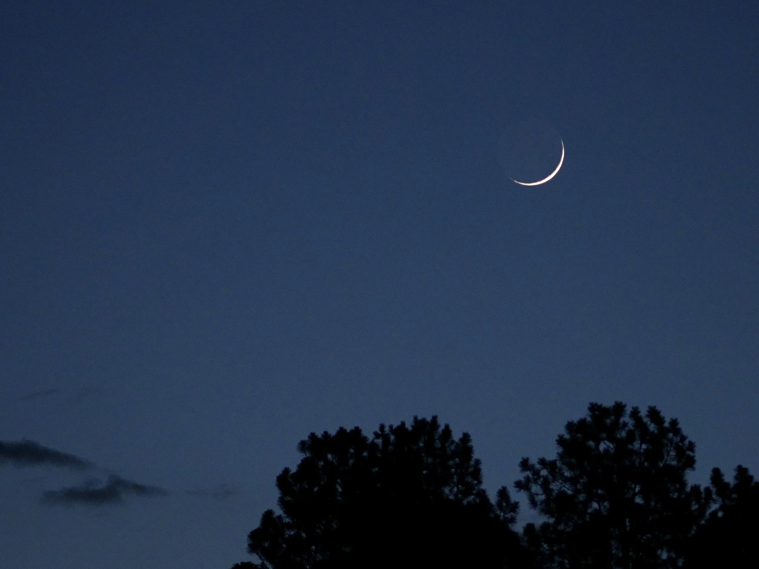 Day 2 in Cloudcroft, New Mexico 