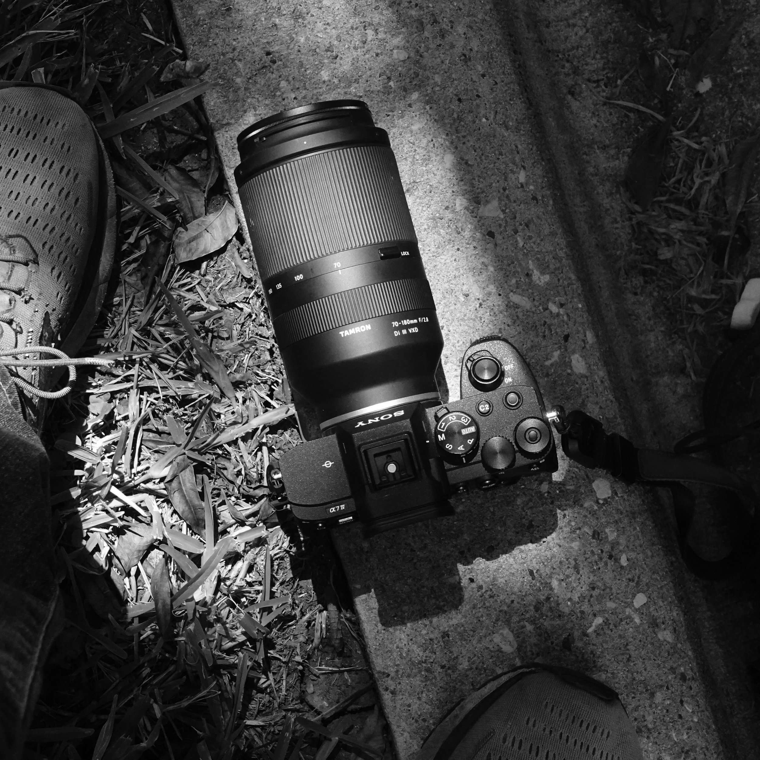 The Sony A7 IV: My Camera of Choice 