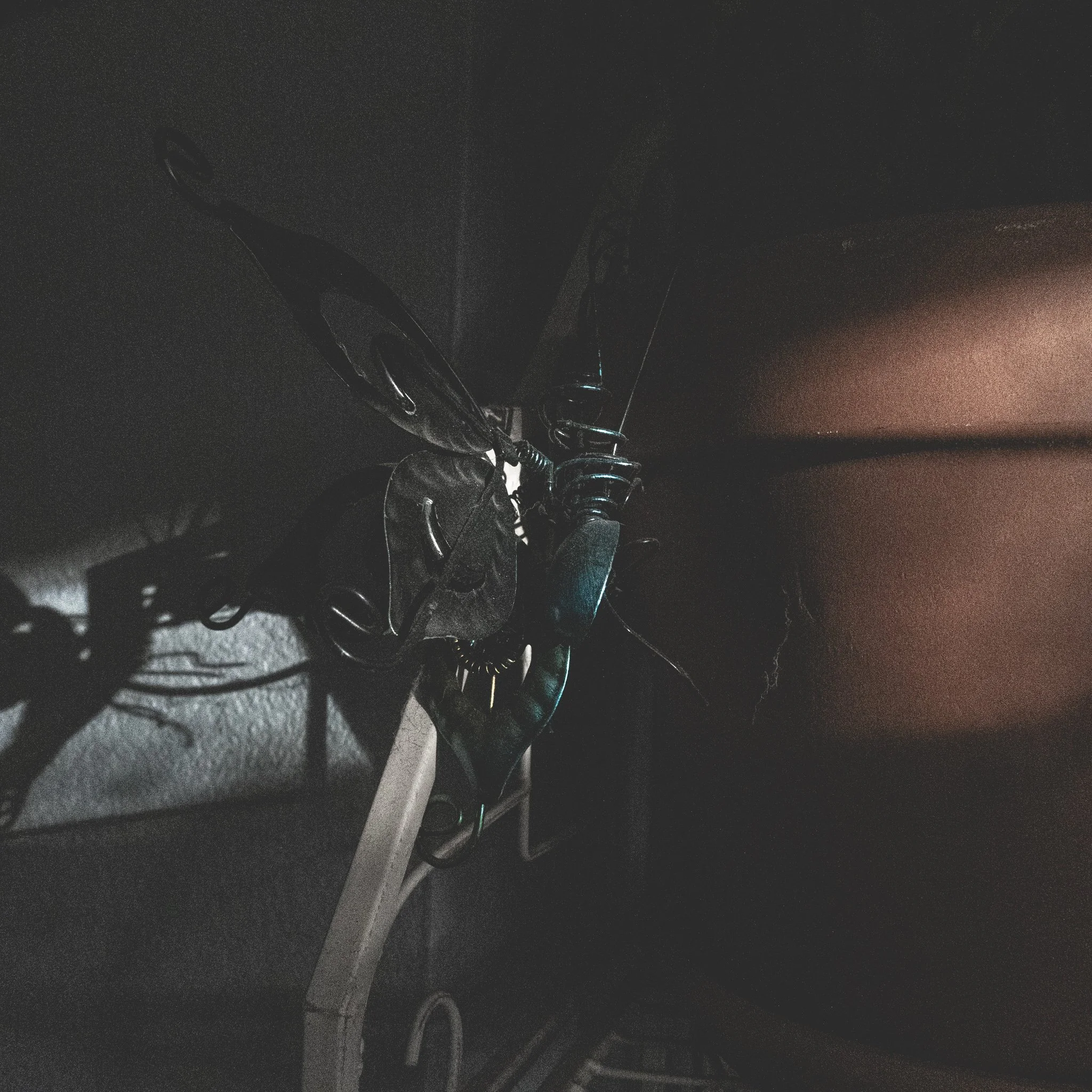 Skating the River w/ Images 